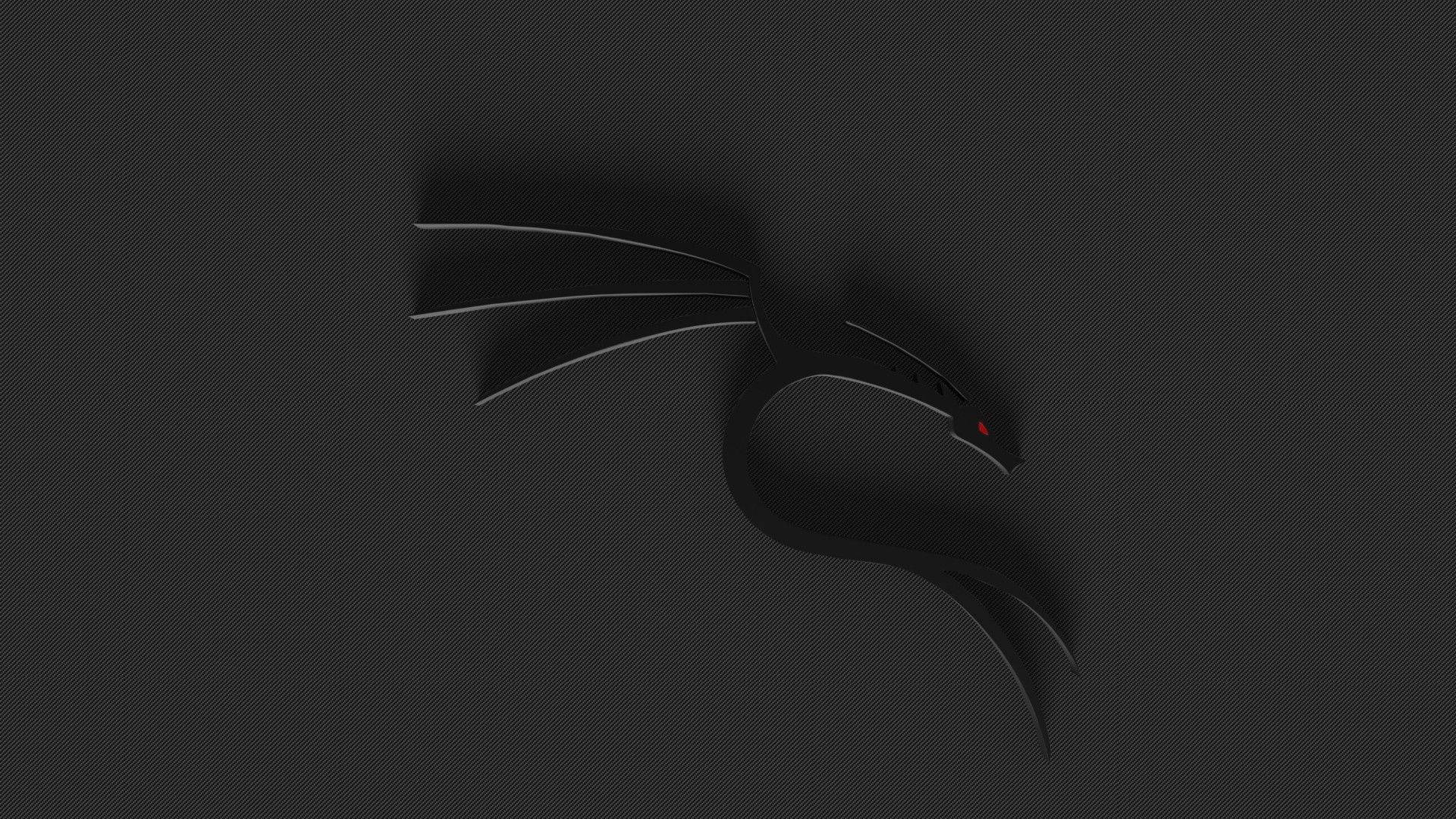 Kali Linux, dragon, sleek black dragon silhouette, Full HD Desktop Wallpaper