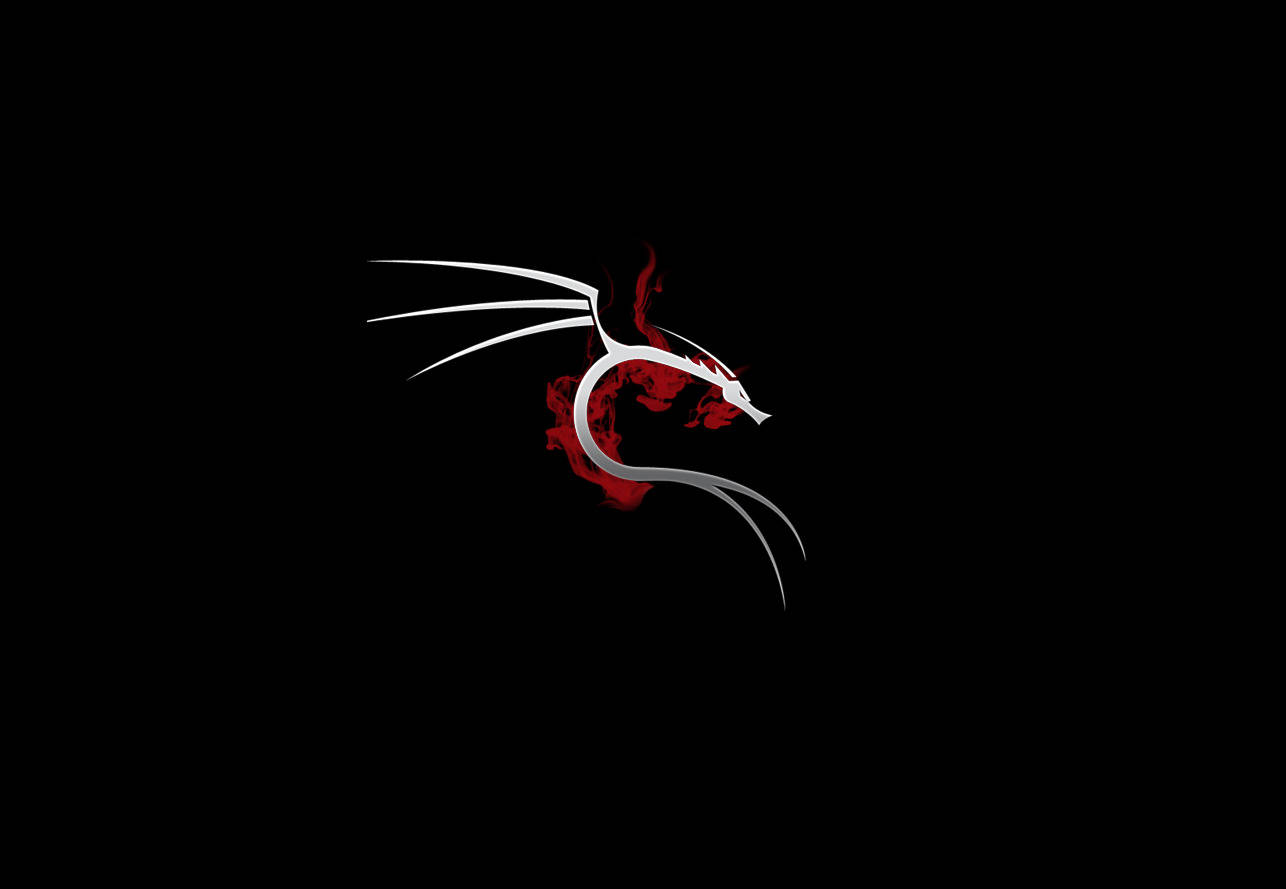 Kali Linux, dragon, silver, HD Desktop Wallpaper