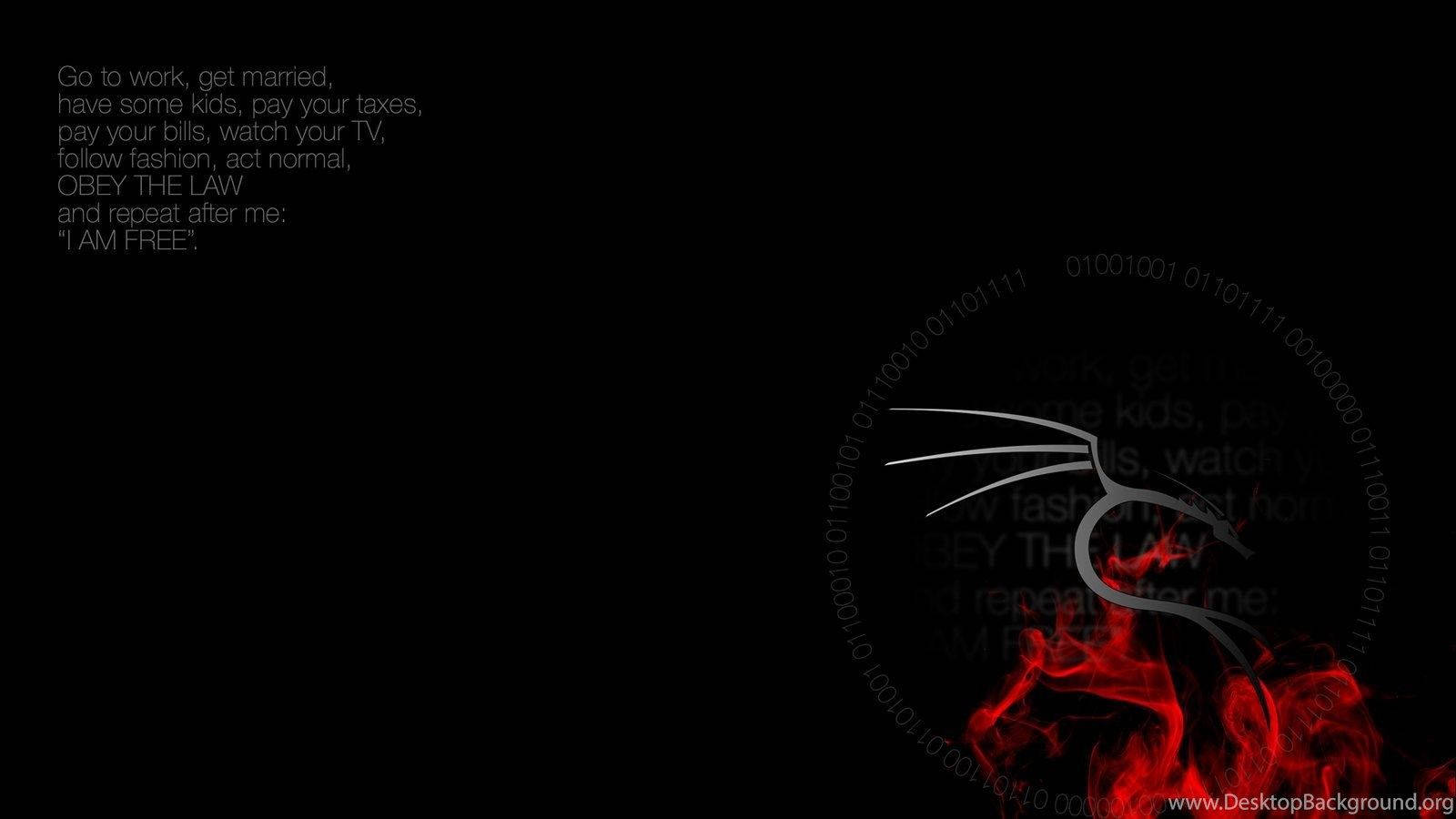 Kali Linux, glowing red flames, white dragon silhouette, HD Desktop Wallpaper