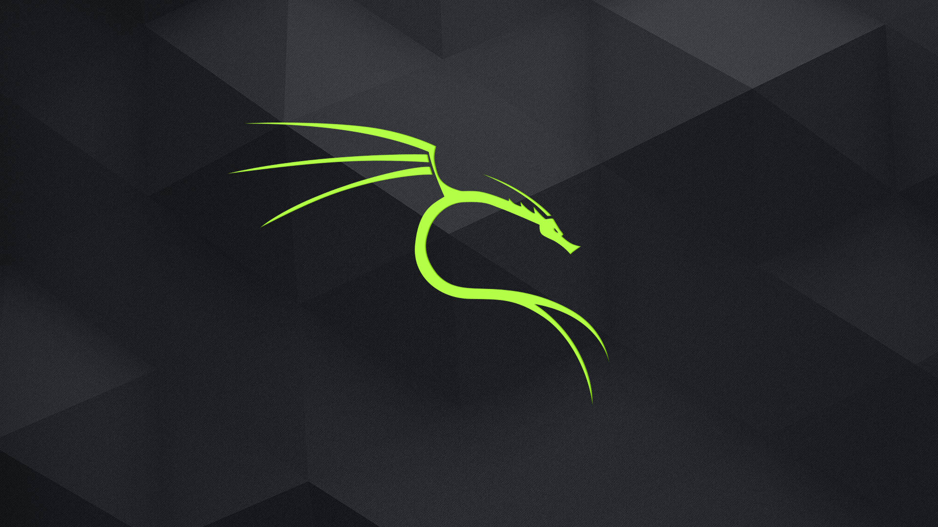 Neon Green, Kali Linux, glowing lime green dragon logo, Full HD Desktop Wallpaper