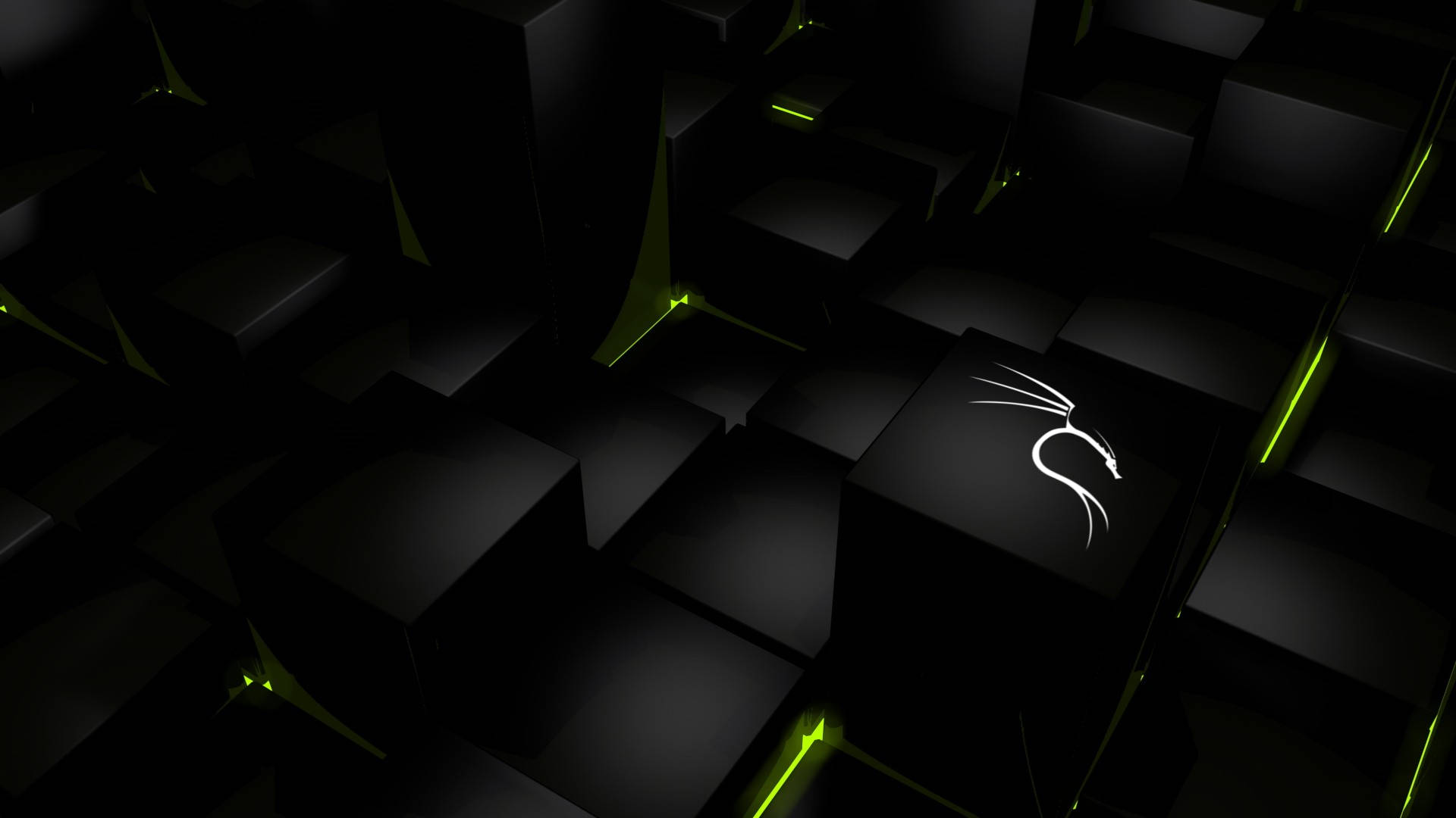 Kali Linux, white dragon logo, black cubes, Full HD Desktop Wallpaper