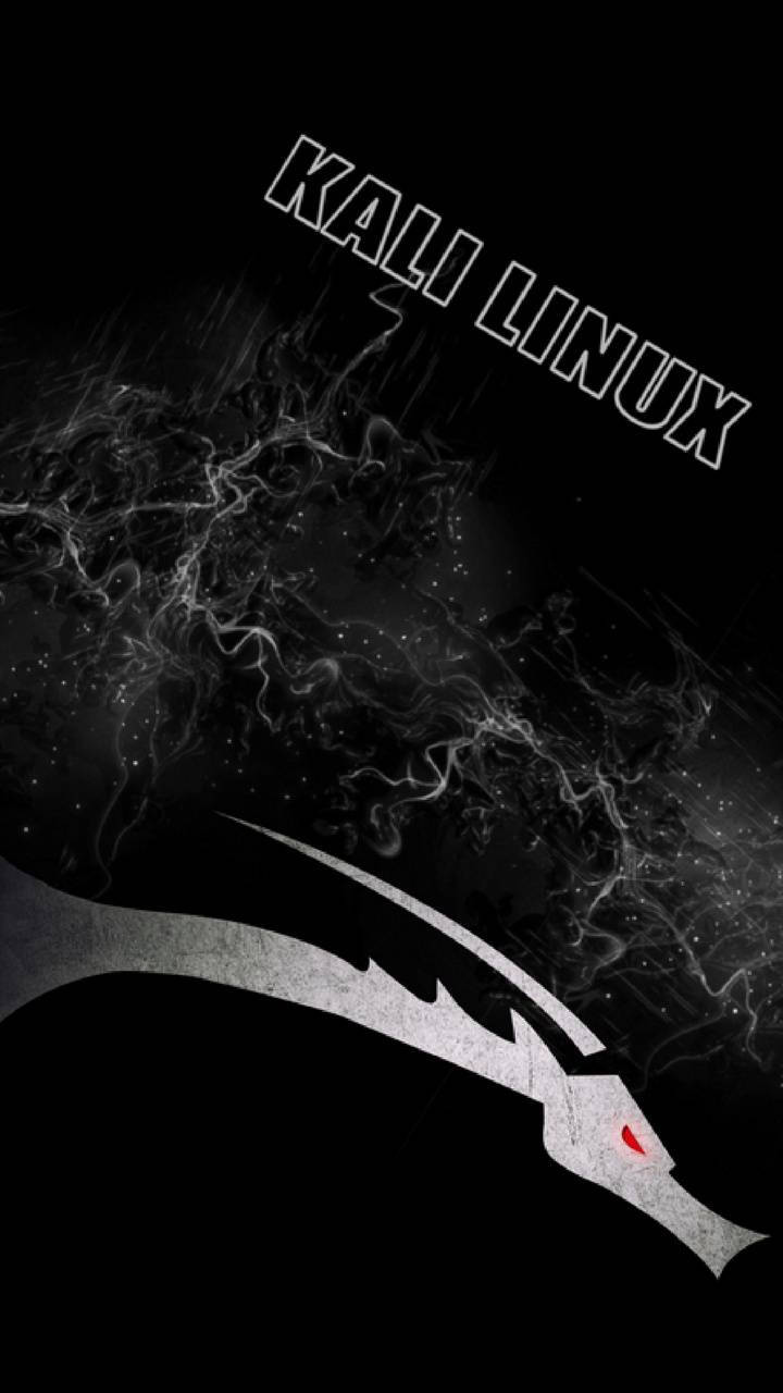 Kali Linux, silver dragon, glowing red eye, HD Phone Wallpaper