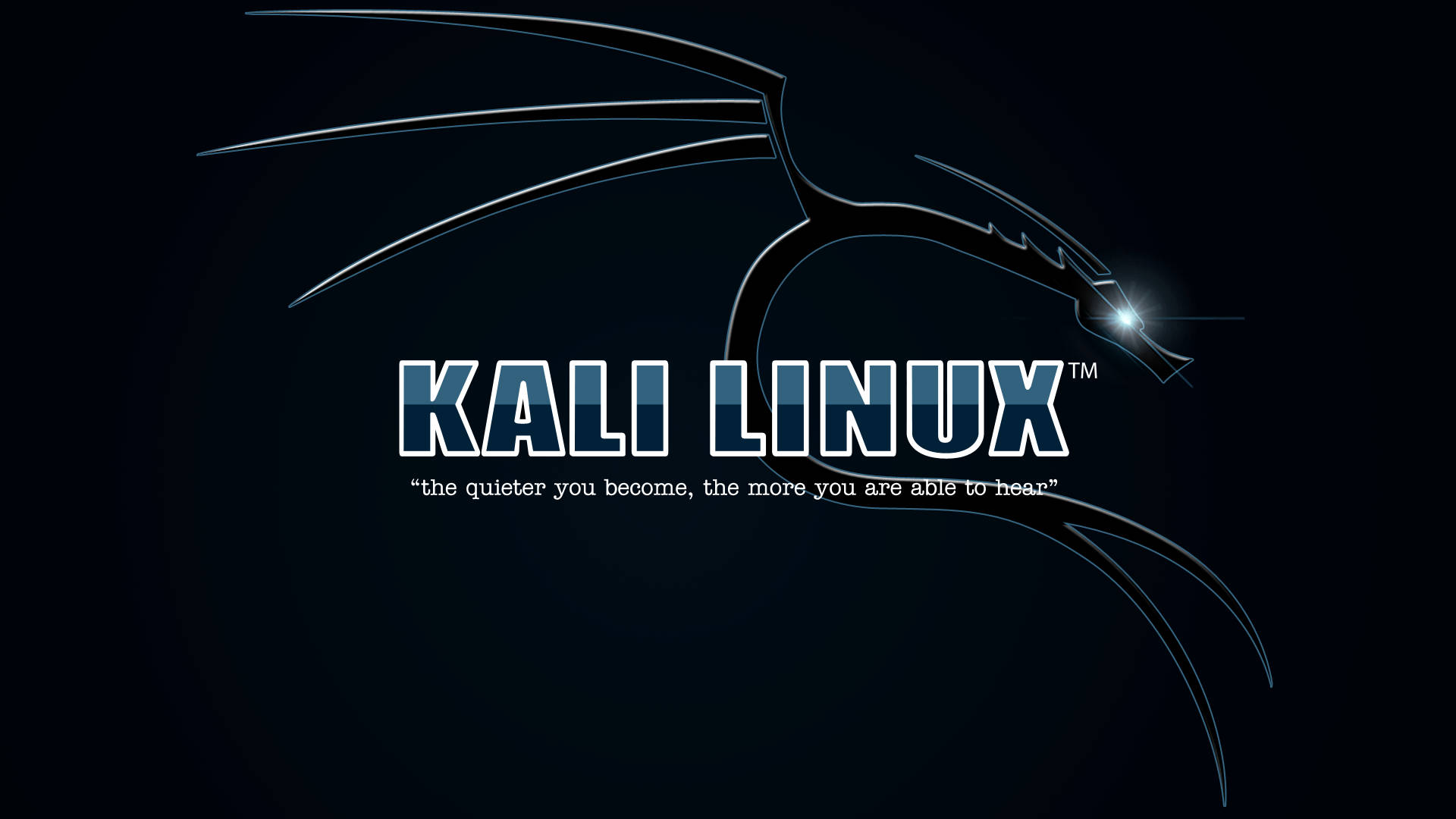 Kali Linux, dragon silhouette, glowing eye, Full HD Desktop Wallpaper