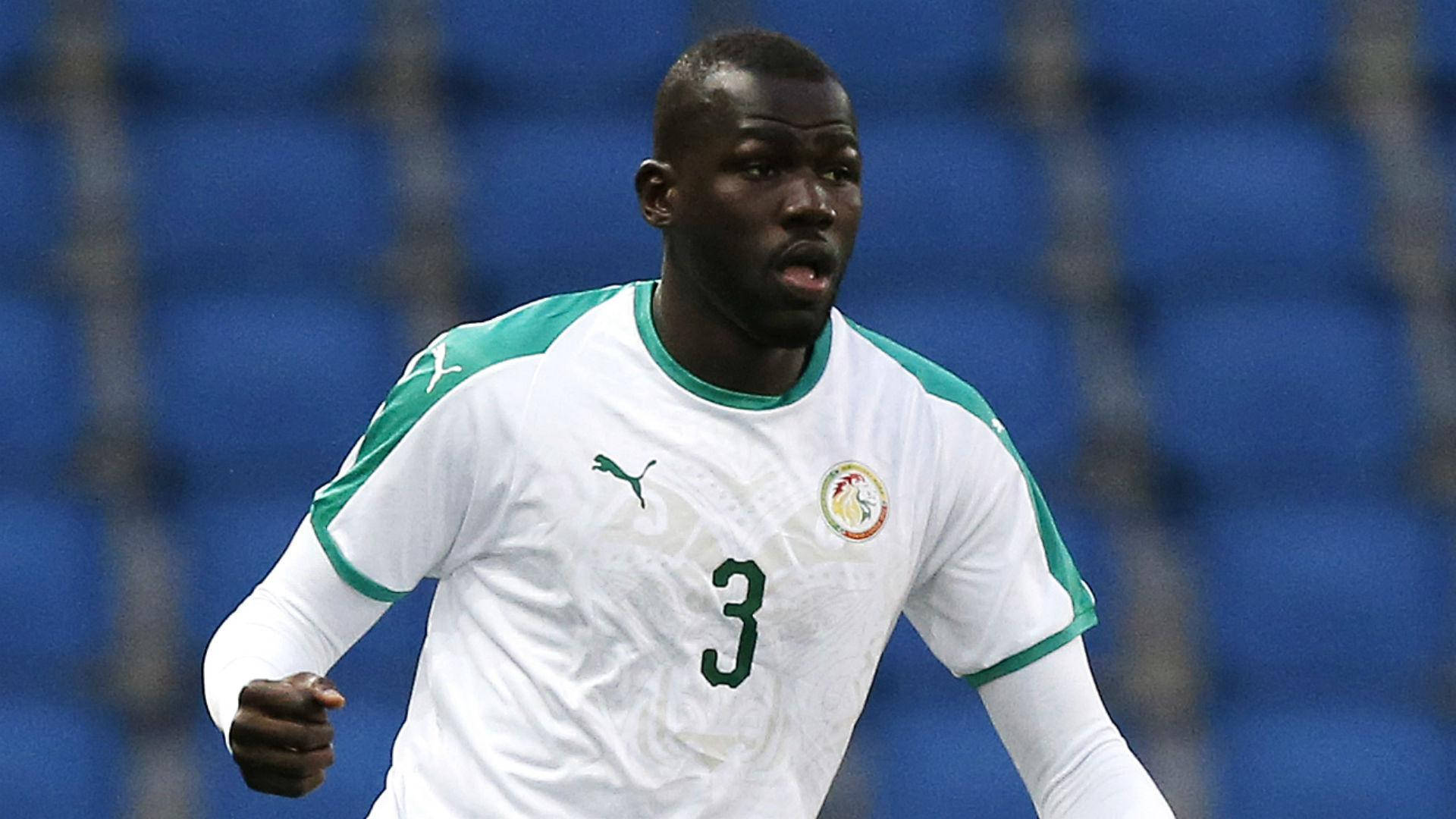 Kalidou Koulibaly, white and green jersey, number three, Full HD Desktop Wallpaper