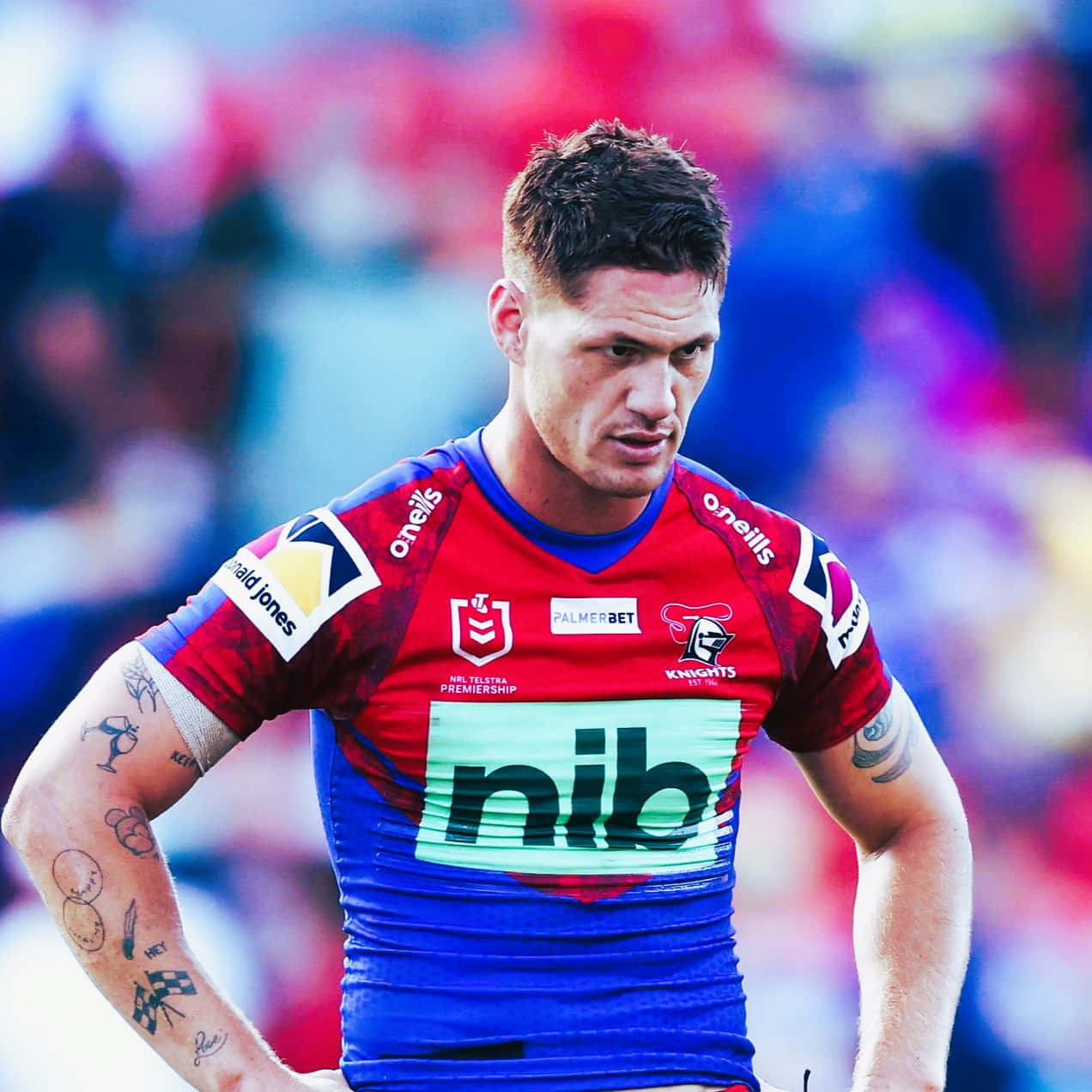 Kalyn Ponga, red and blue Knights jersey, daytime game, SD Desktop Wallpaper