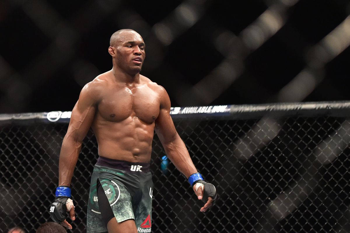 Kamaru Usman, octagon, dimly lit, SD Desktop Wallpaper