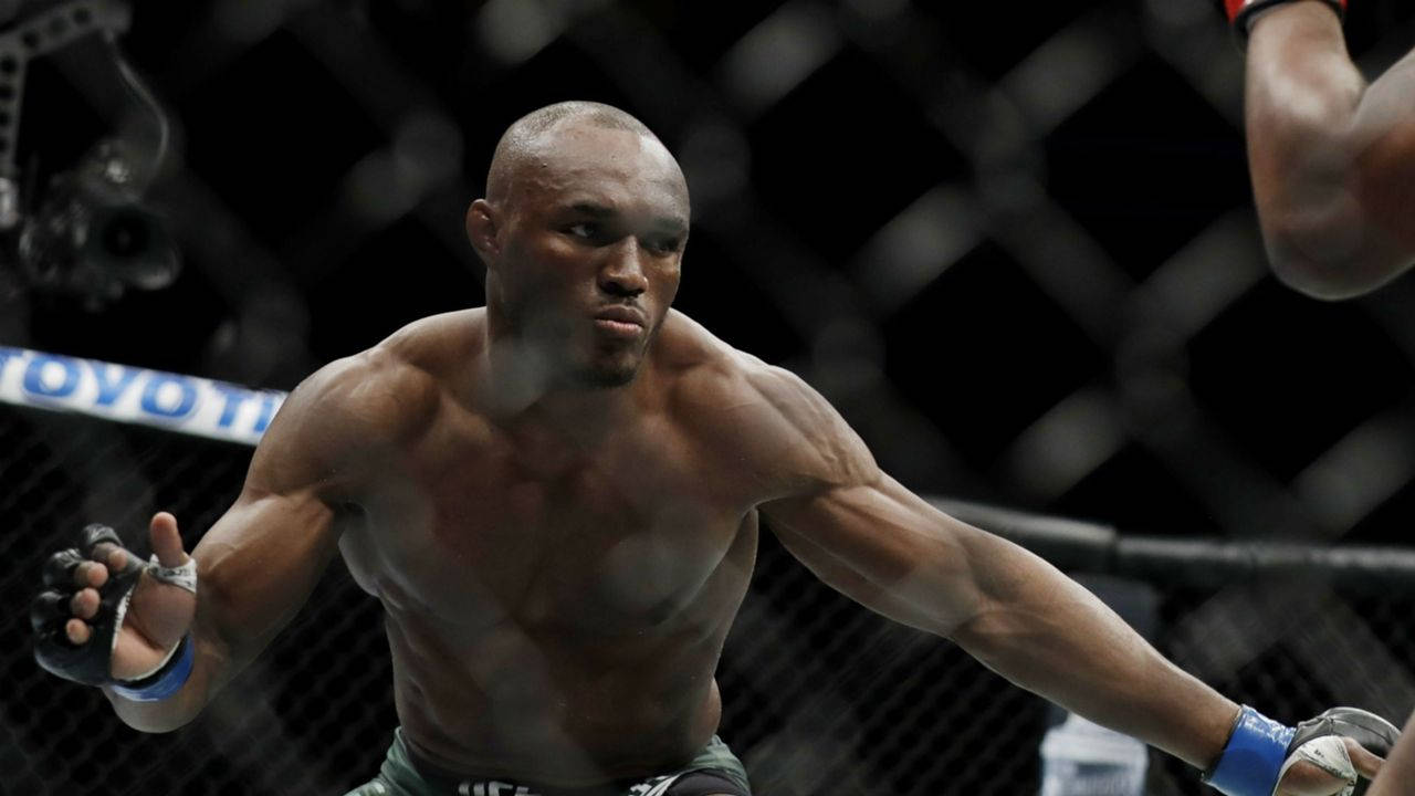 Kamaru Usman, cage, mixed martial arts match, HD Desktop Wallpaper