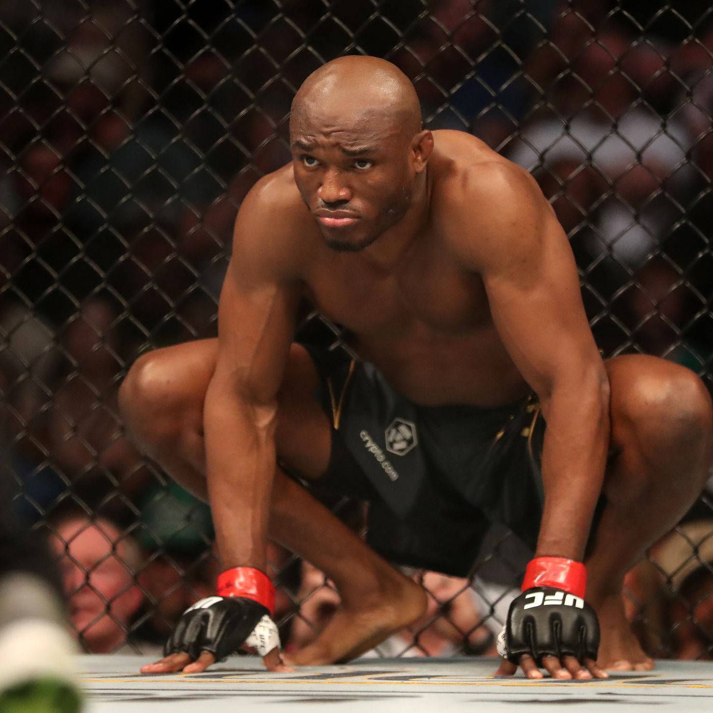 Kamaru Usman, octagon cage, muscular fighter, HD Desktop Wallpaper