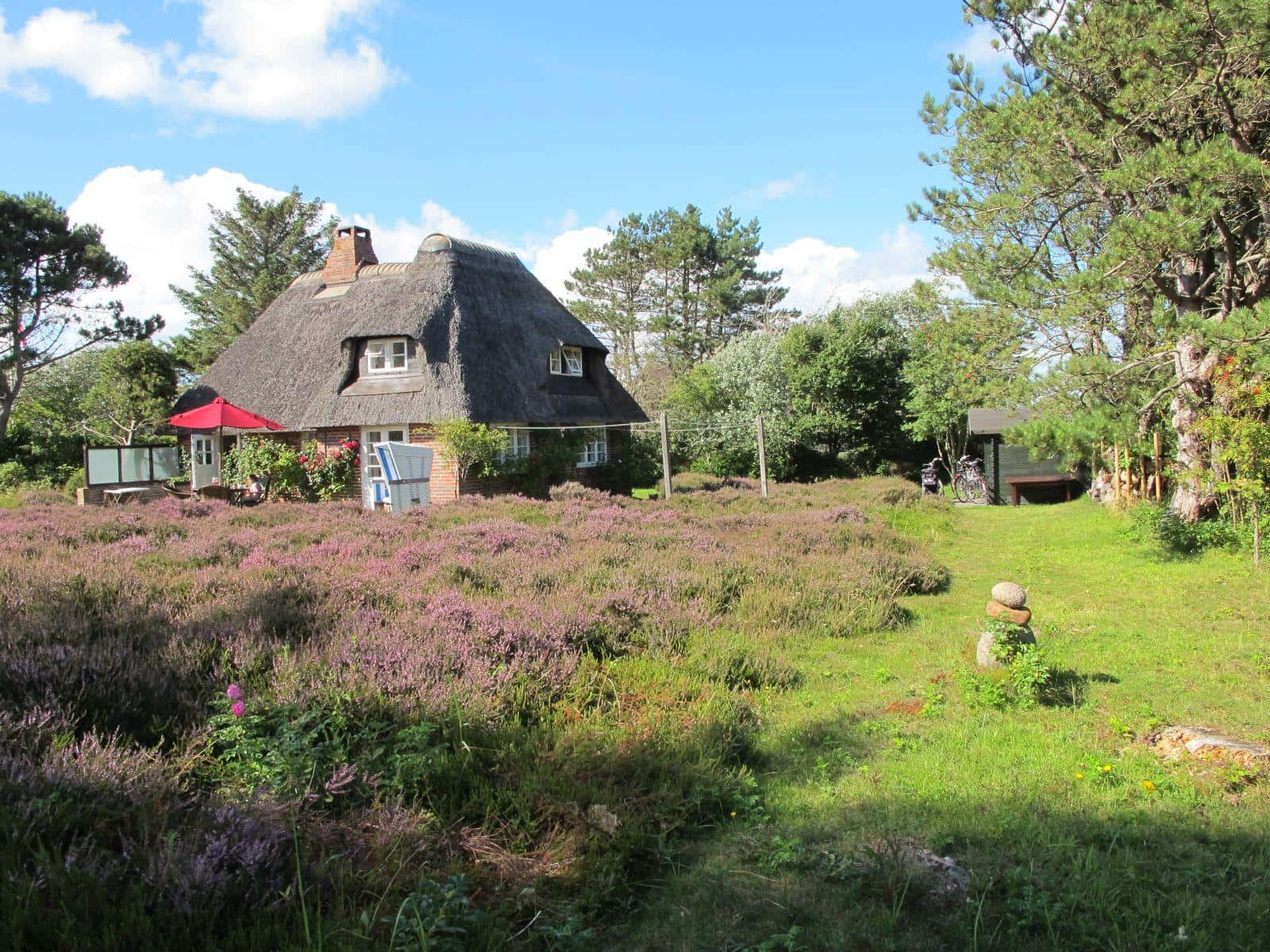 thatched roof cottage, Kampen, purple heather, HD Desktop Wallpaper