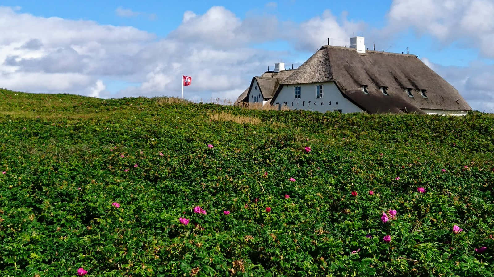 Kampen, thatched roof house, white thatched-roof house, HD Desktop Wallpaper
