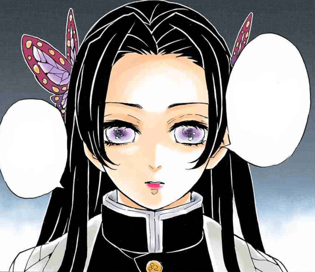 Kanae Kocho, black braided hair, purple eyes, SD Desktop Wallpaper