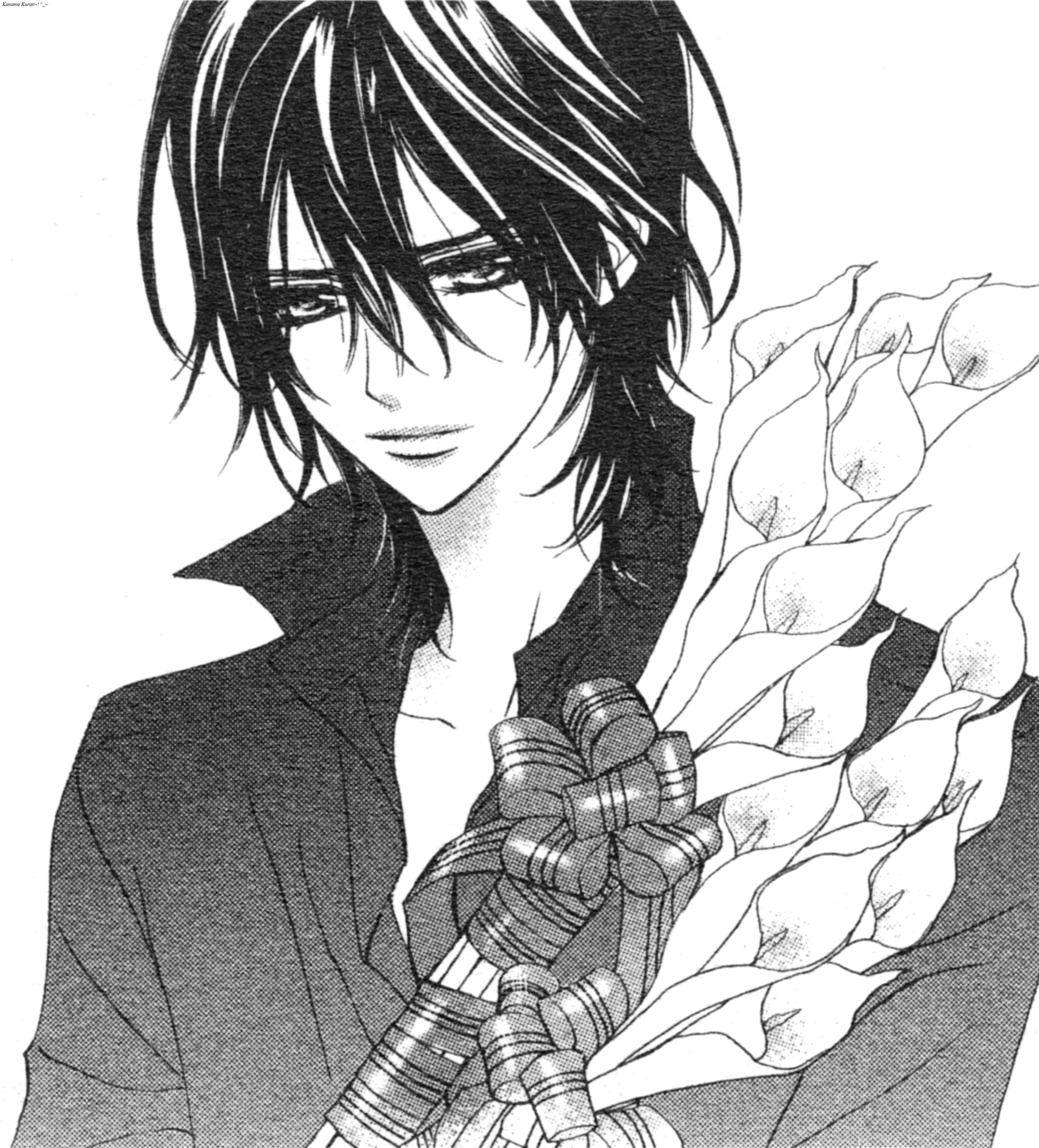 Kaname Kuran, manga-style portrait, dark hair, 2K Phone Wallpaper