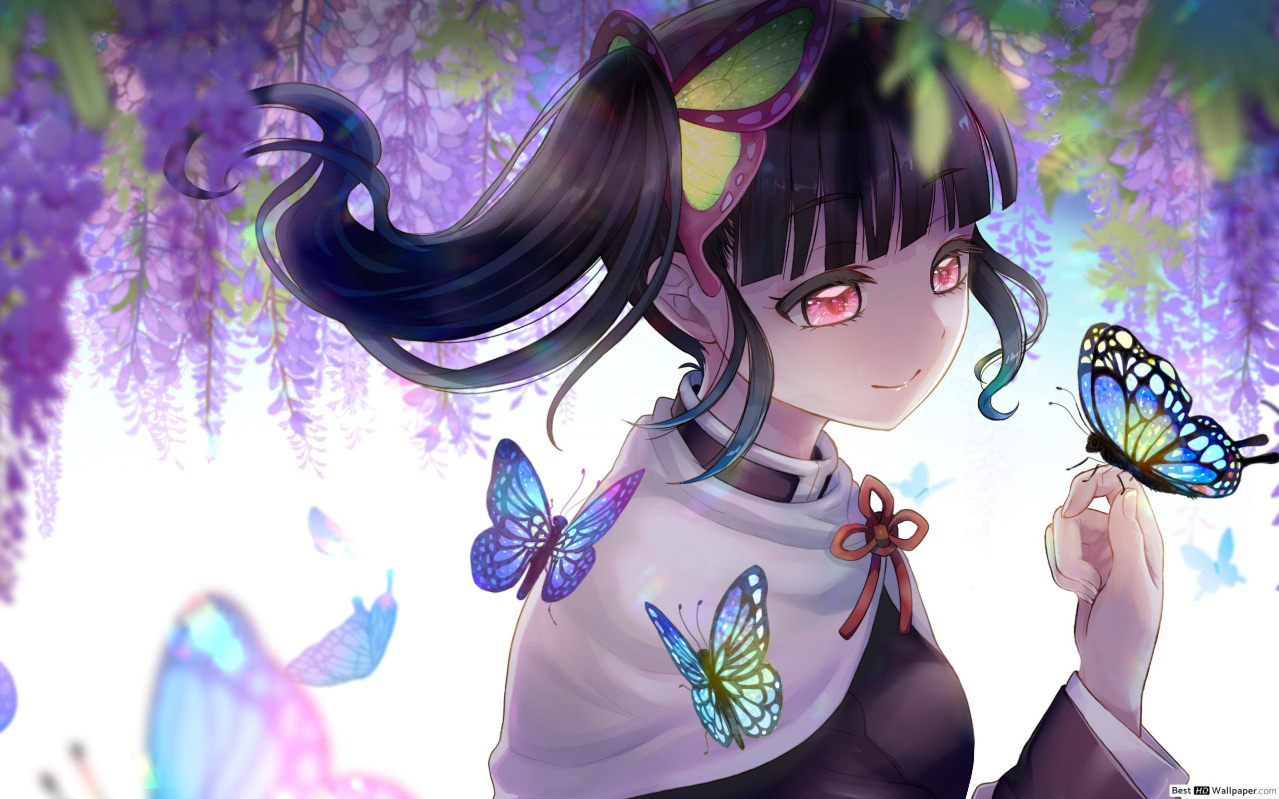 Kanao Tsuyuri, dark hair, pink eyes, 2K Desktop Wallpaper