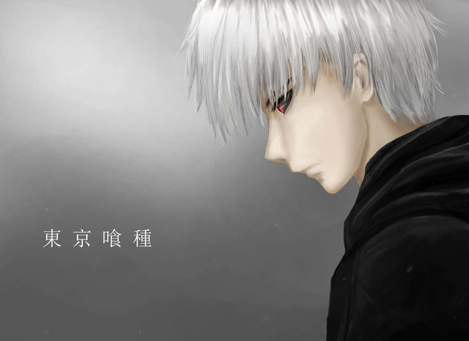 Kaneki, silver hair, red eyes, HD Desktop Wallpaper