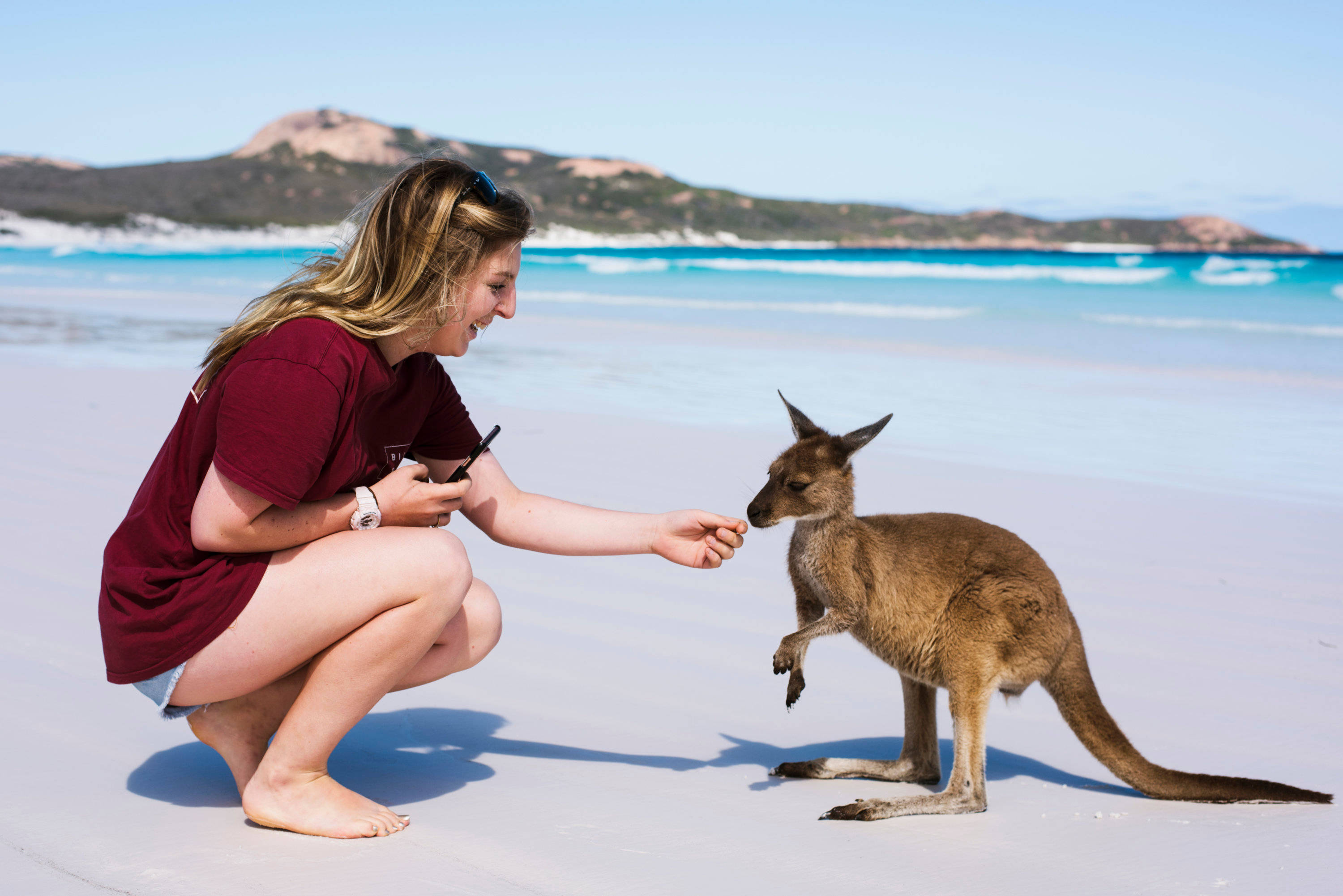 kangaroo, woman, white sandy beach, 2K Desktop Wallpaper