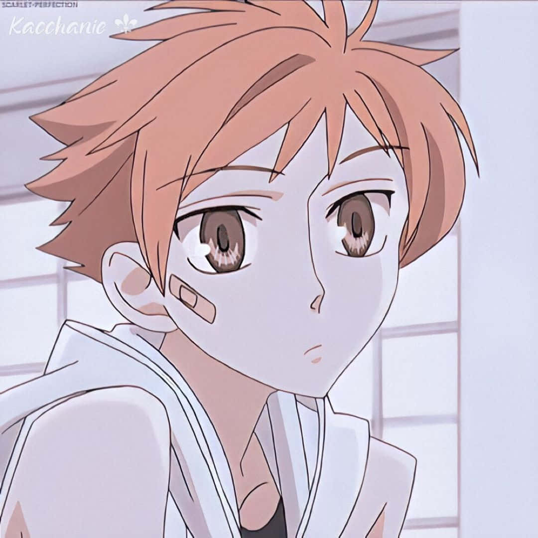 Kaoru Hitachiin, spiky peach hair, bandage on cheek, SD Desktop Wallpaper