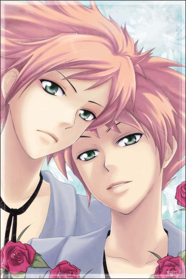 Kaoru Hitachiin, pink hair, green eyes, SD Phone Wallpaper