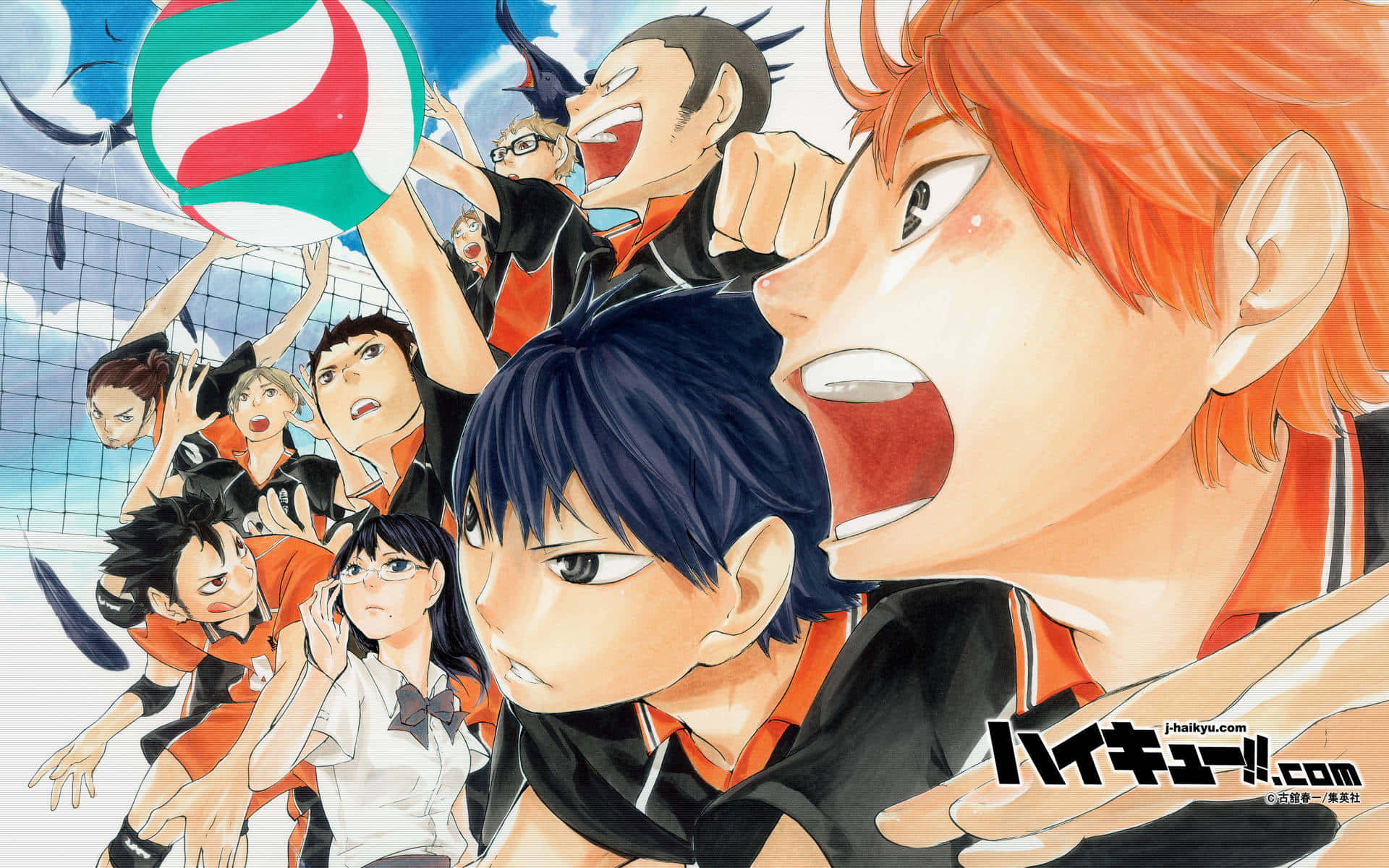 Karasuno, 1920 x 1200, volleyball, Full HD Desktop Wallpaper