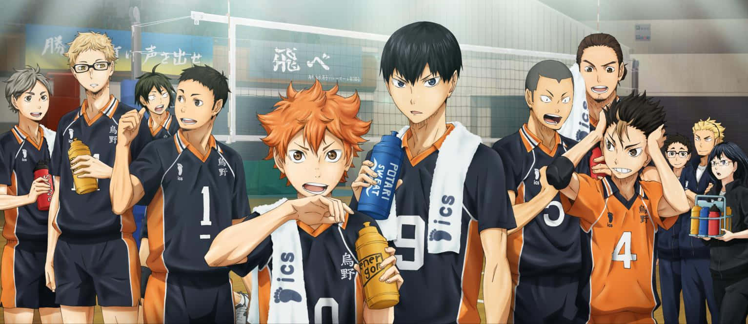 Karasuno, Anime volleyball team, gym, HD Desktop Wallpaper