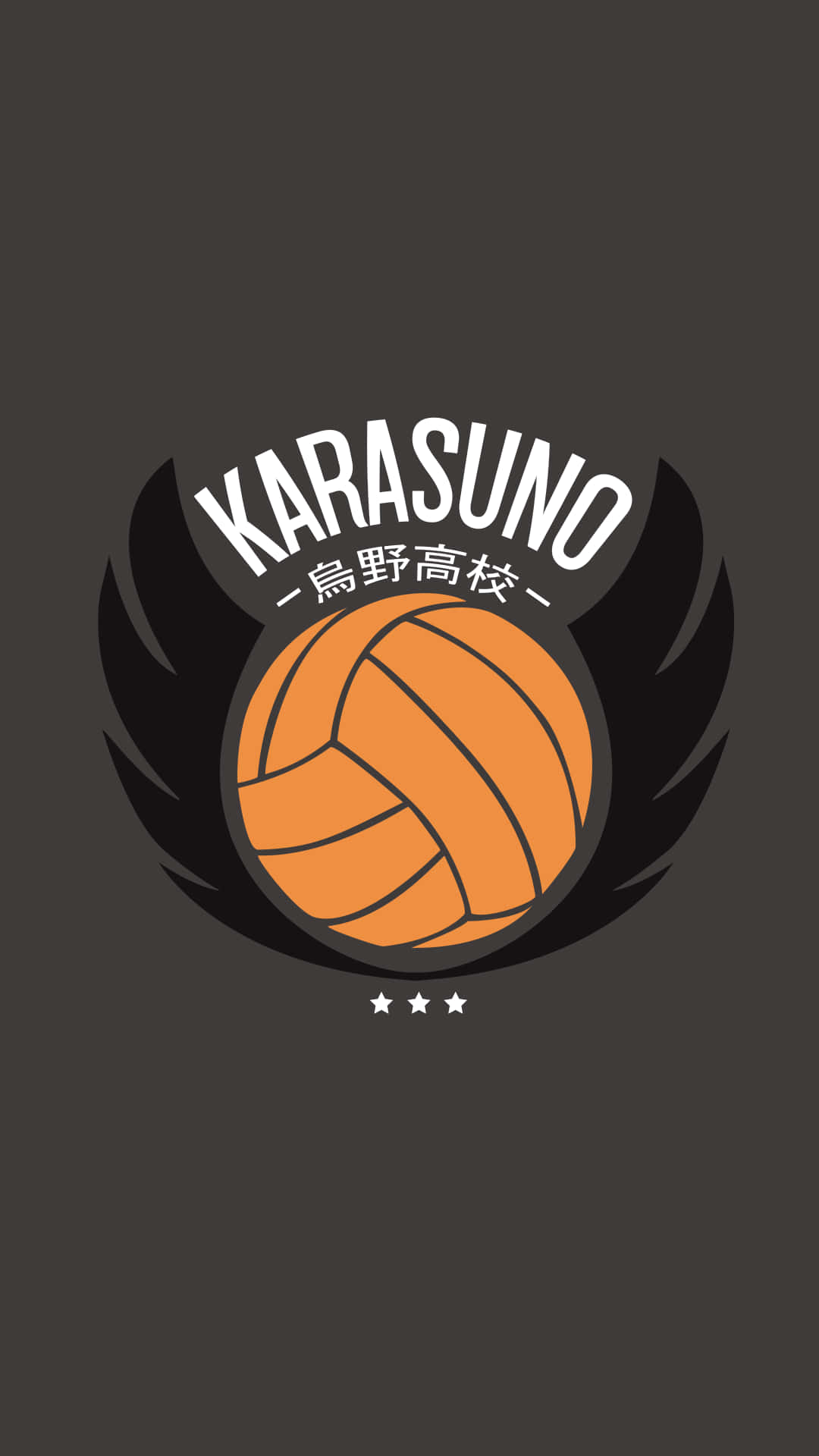 Karasuno, orange volleyball, black winged emblem, Full HD Phone Wallpaper