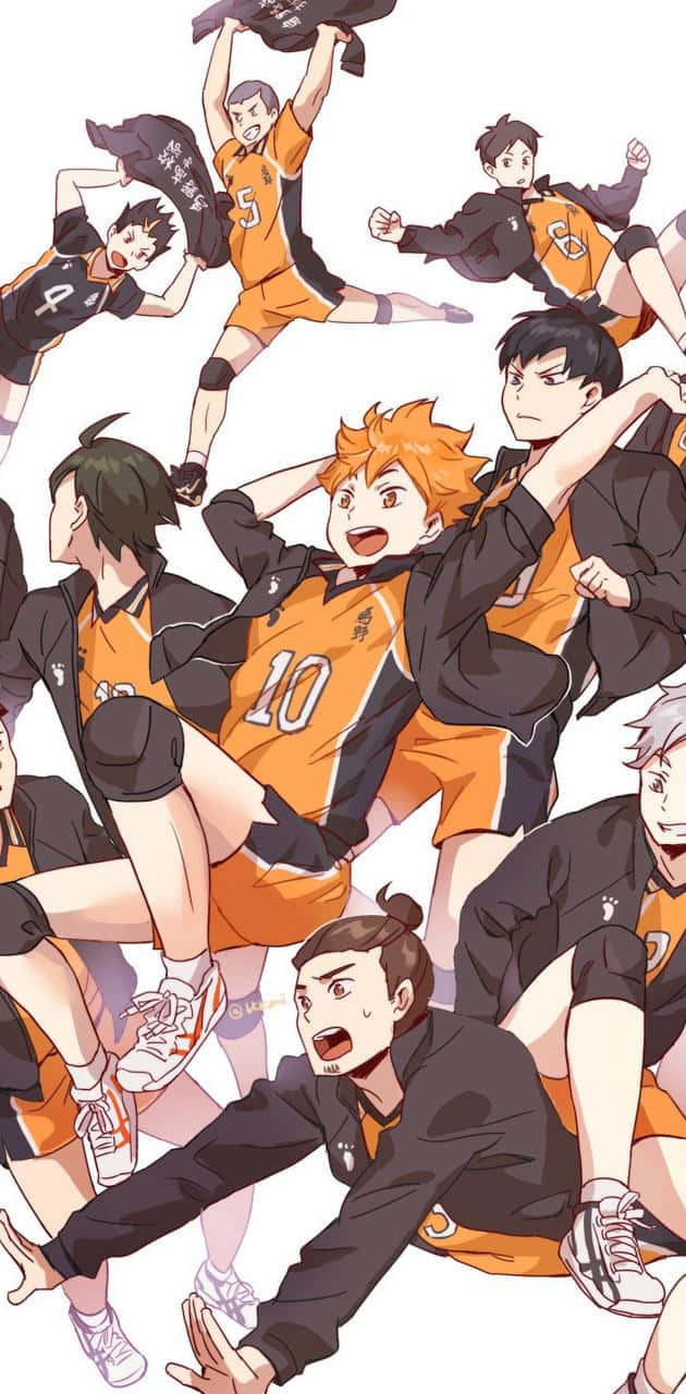 Karasuno, orange and black uniforms, volleyball players, HD Phone Wallpaper