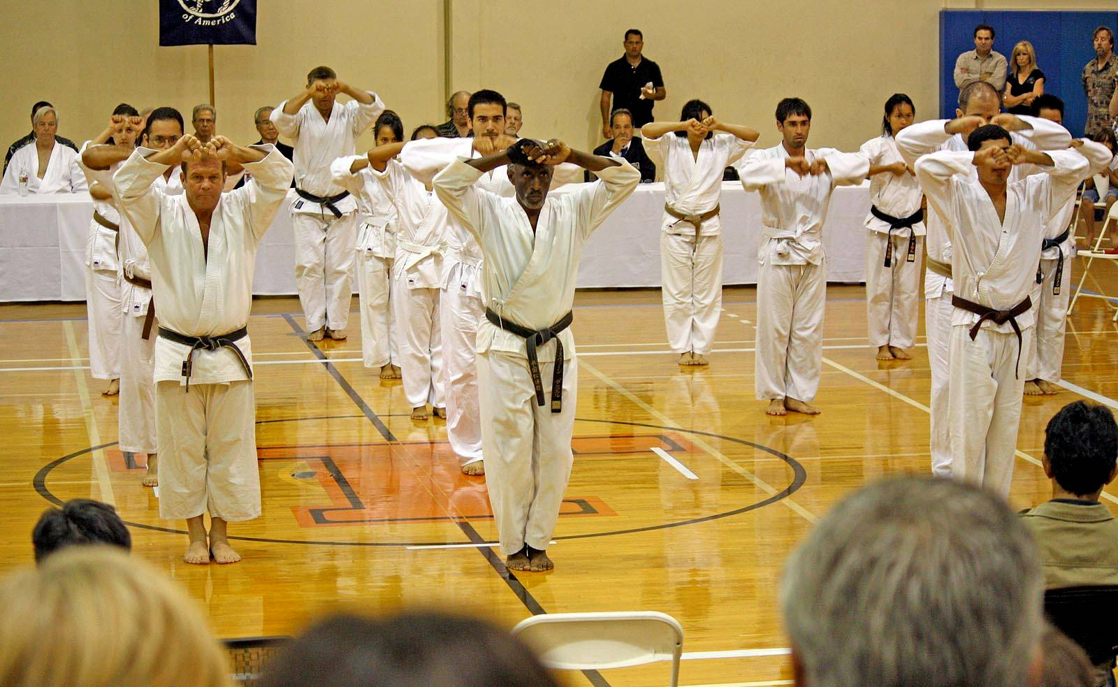karate students, white gi, black belts, HD Desktop Wallpaper