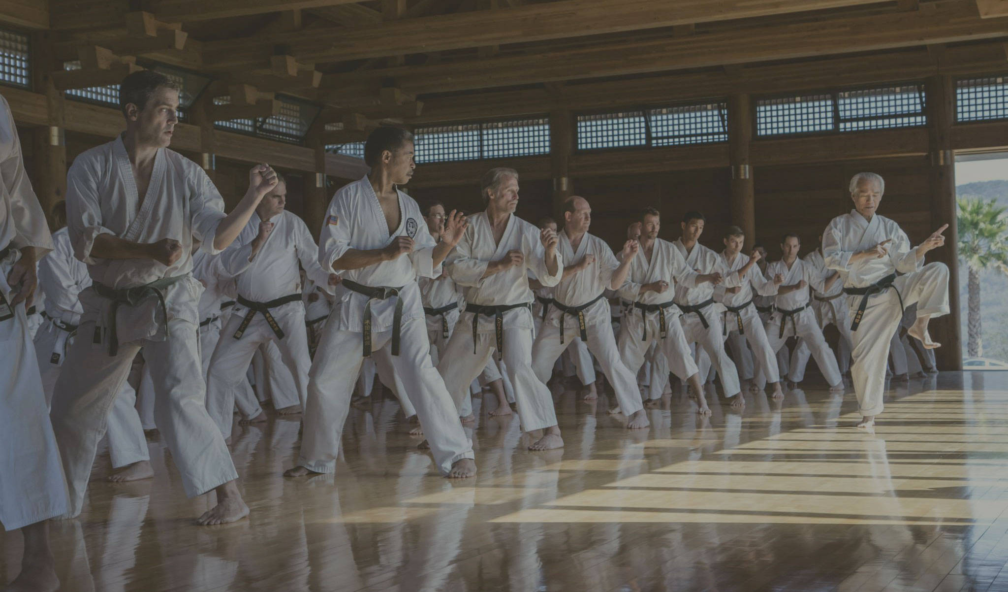 karate students, white gi, black belts, Full HD Desktop Wallpaper