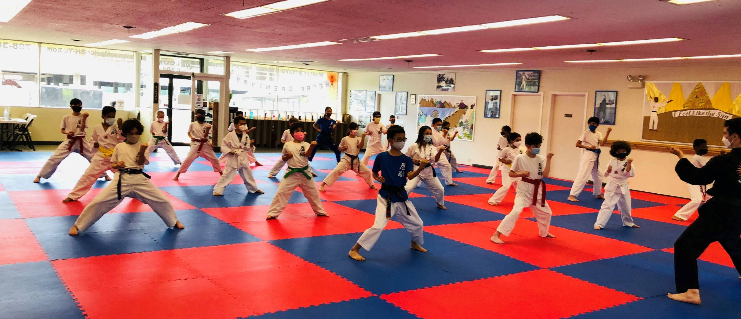karate students, kids, dojo, 2K Desktop Wallpaper