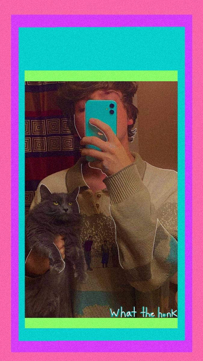 Karl Jacobs, gray cat, mirror, SD Phone Wallpaper