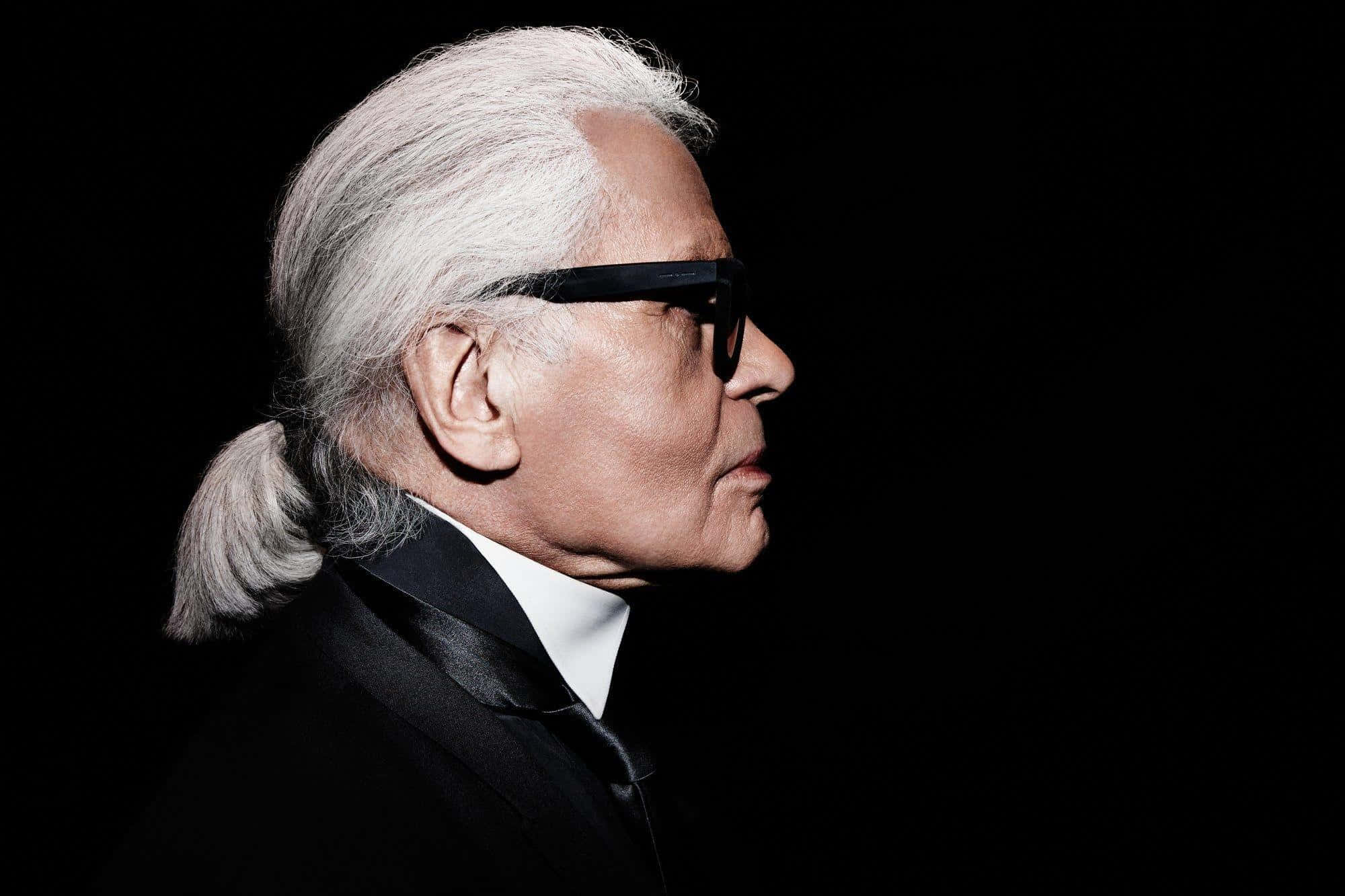 Karl Lagerfeld, white hair, ponytail, Full HD Desktop Wallpaper