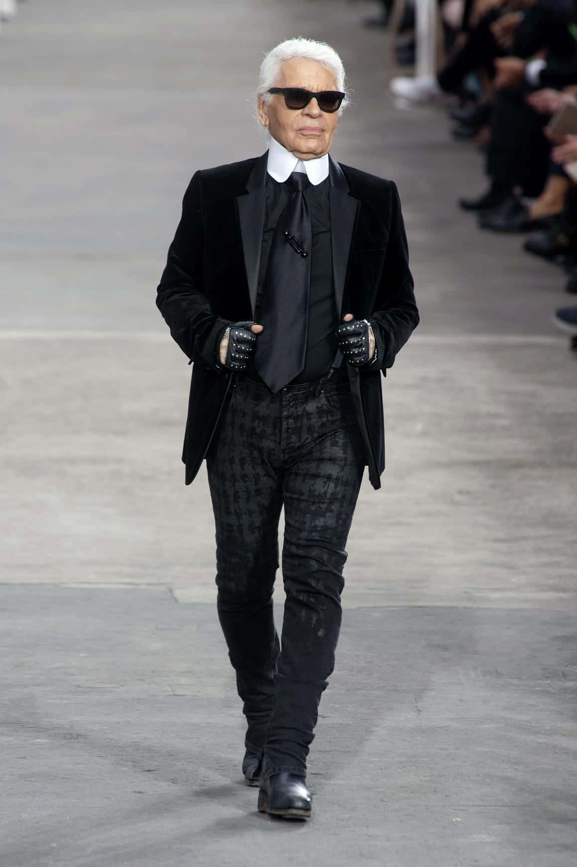 Karl Lagerfeld, dark glasses, fingerless gloves, HD Phone Wallpaper