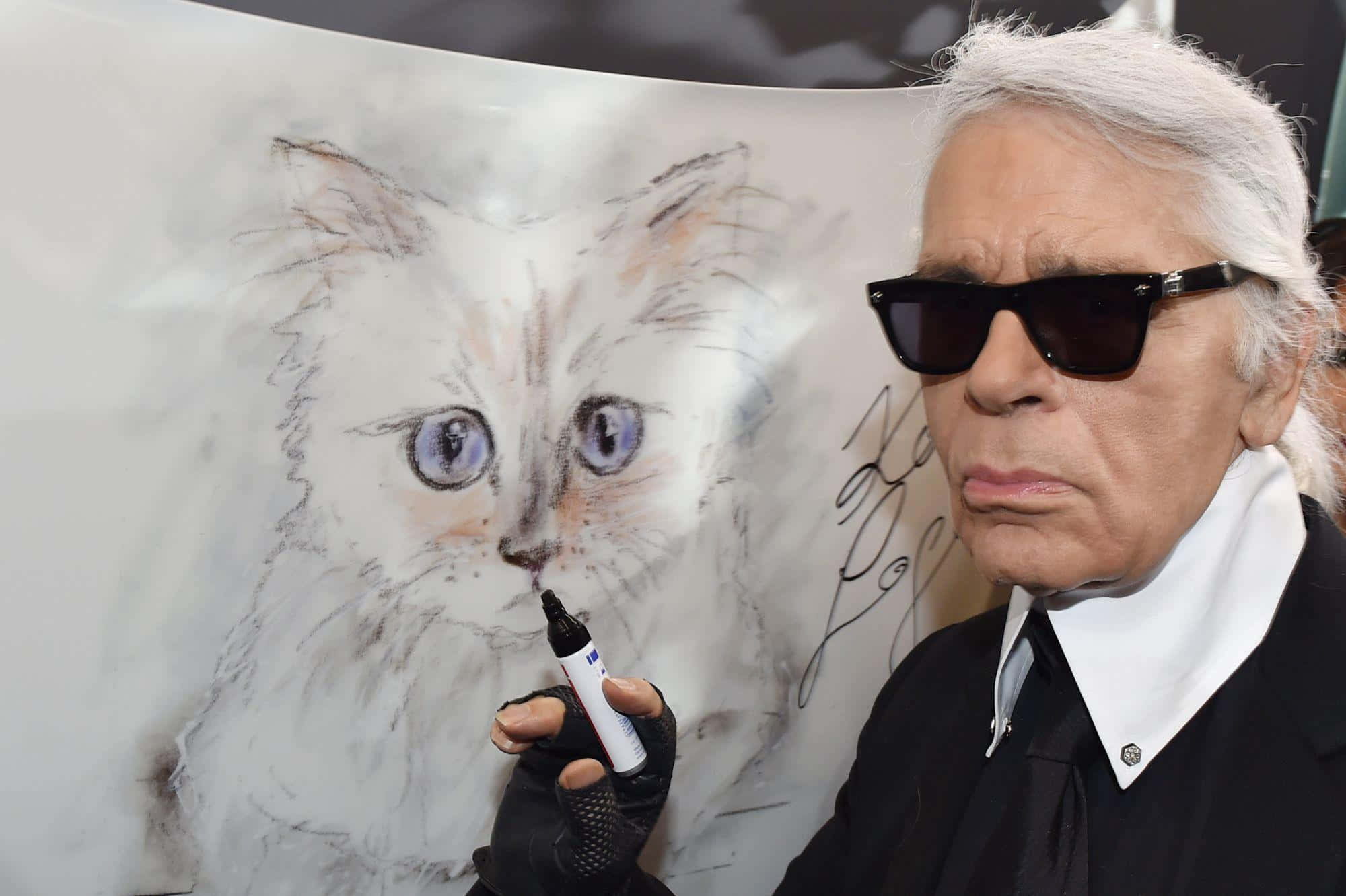 Karl Lagerfeld, black sunglasses, gloves, Full HD Desktop Wallpaper