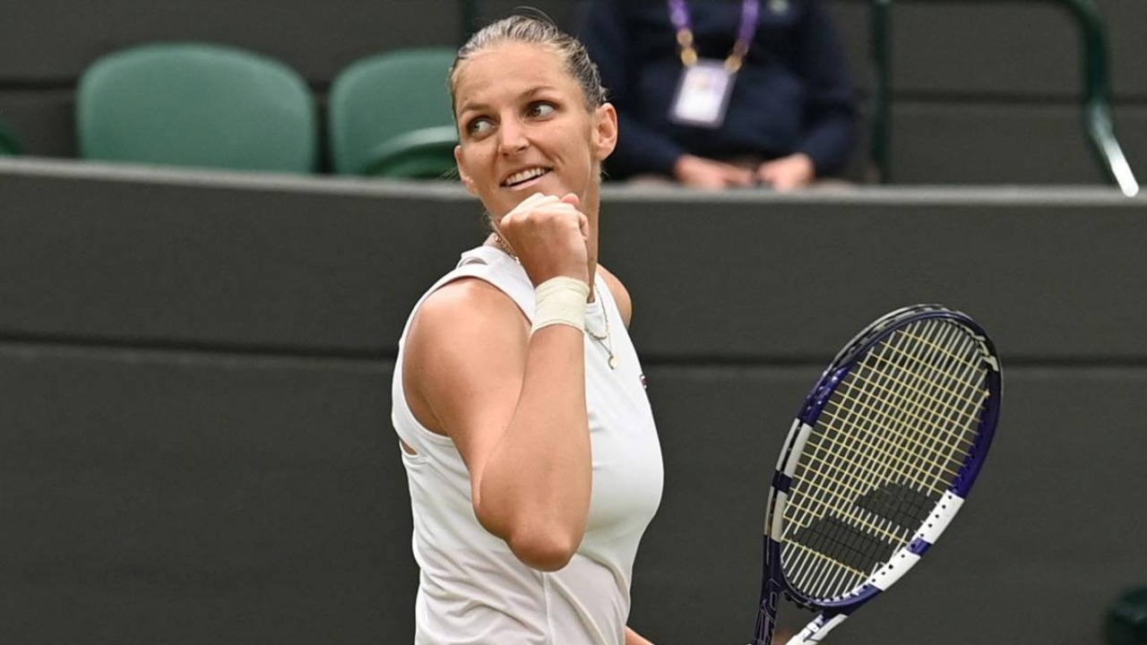 Karolina Pliskova, white, clenched fist, HD Desktop Wallpaper