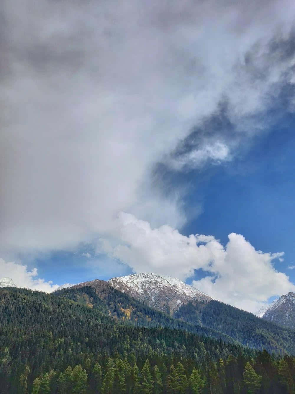 Kashmir, snow capped mountain peaks, dense evergreen forests, HD Phone Wallpaper