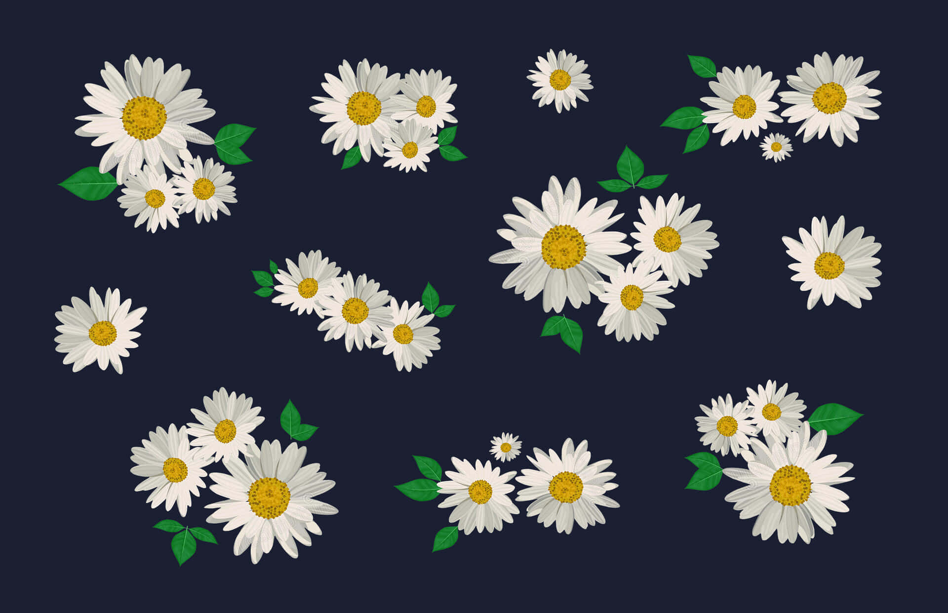 Kate Spade, desktop, white daisies, Full HD Desktop Wallpaper