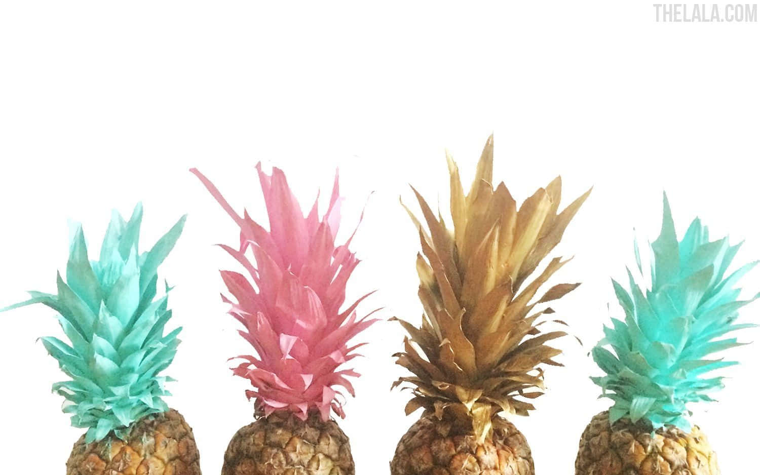 Kate Spade Desktop, pineapples, turquoise, HD Desktop Wallpaper