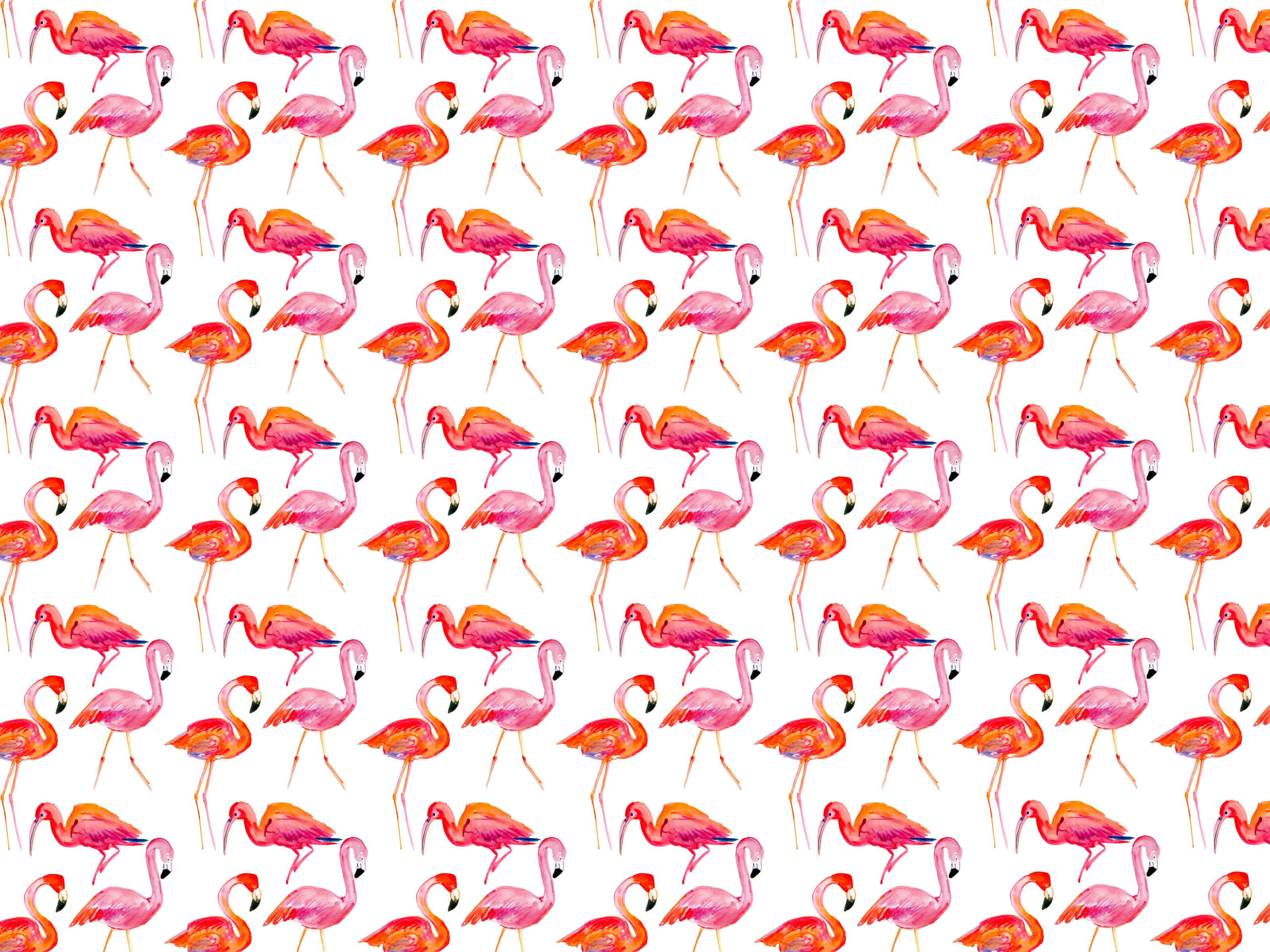 Kate Spade, flamingo pattern, pink, 2K Desktop Wallpaper
