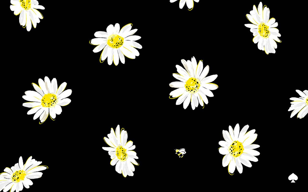 Kate Spade, flower and bee, white daisies, HD Desktop Wallpaper