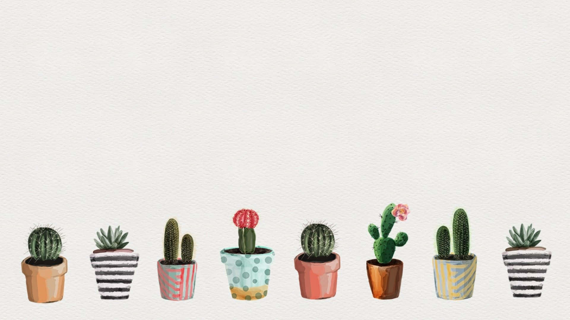 Kate Spade, desktop potted cacti, illustrated potted cacti, Full HD Desktop Wallpaper