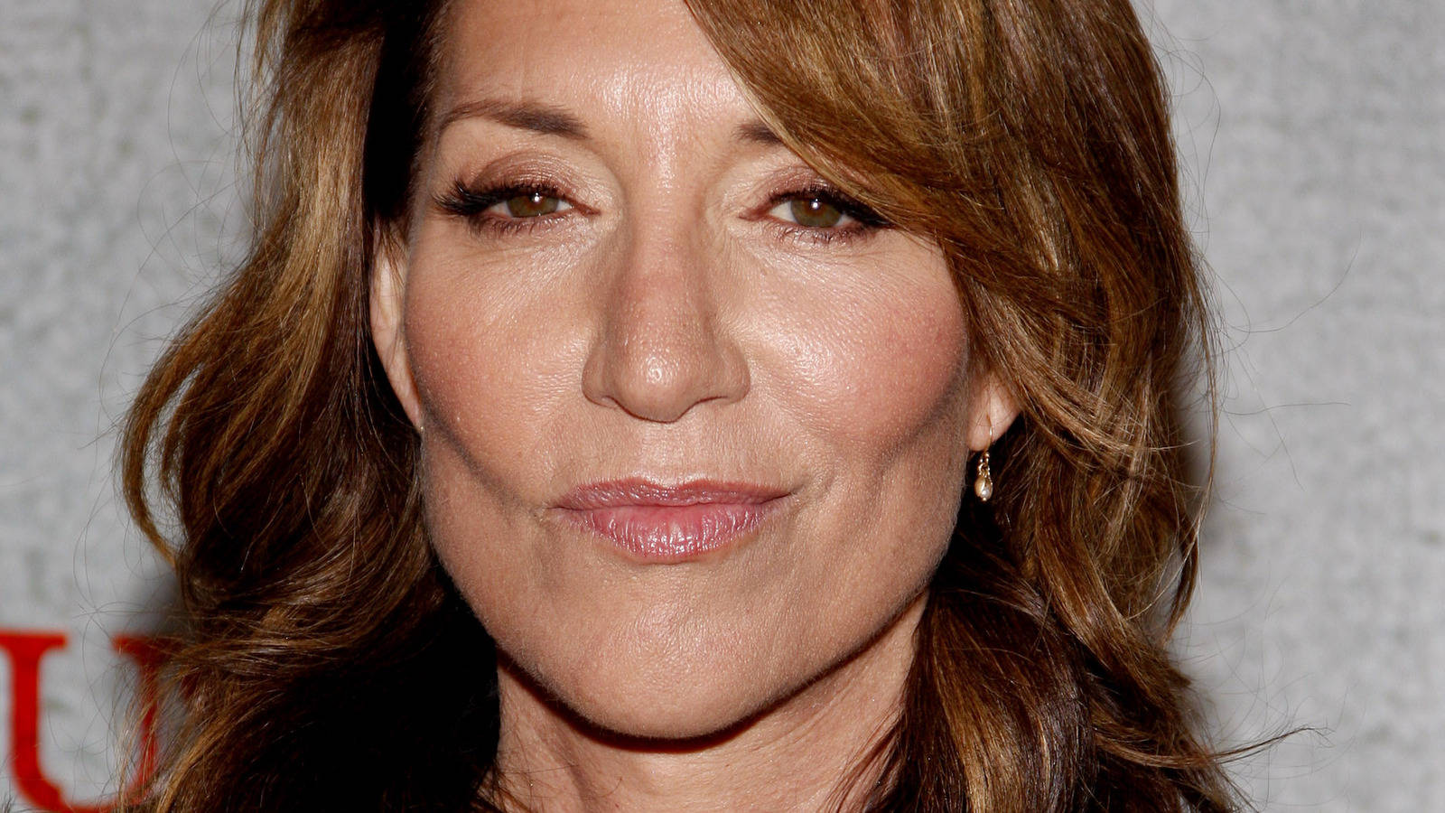 Katey Sagal, wavy brown hair, subtle makeup, HD Desktop Wallpaper