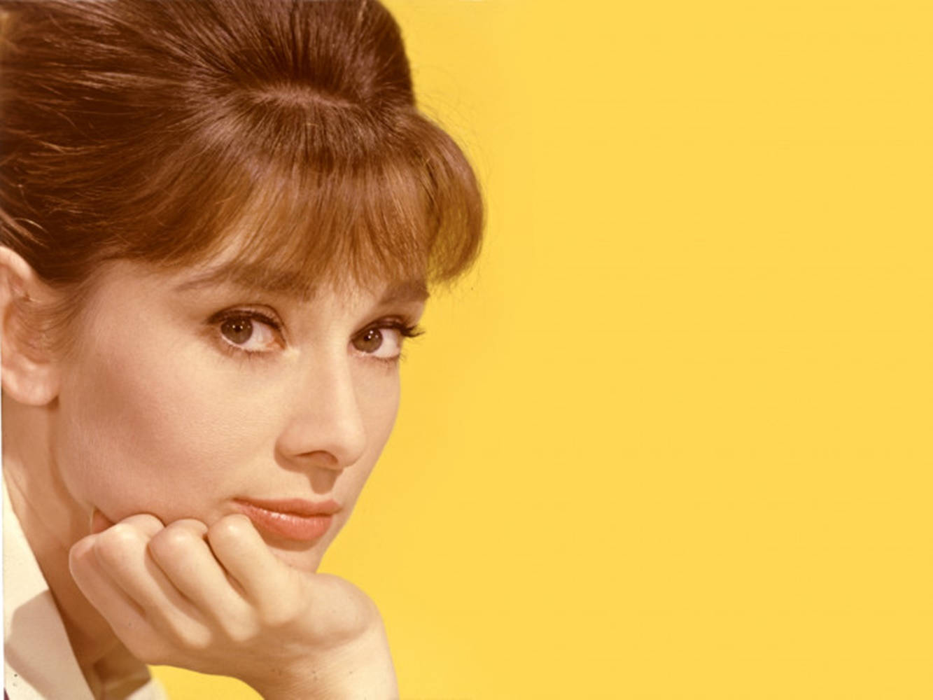 Katharine Hepburn, brown hair, bangs, HD Desktop Wallpaper