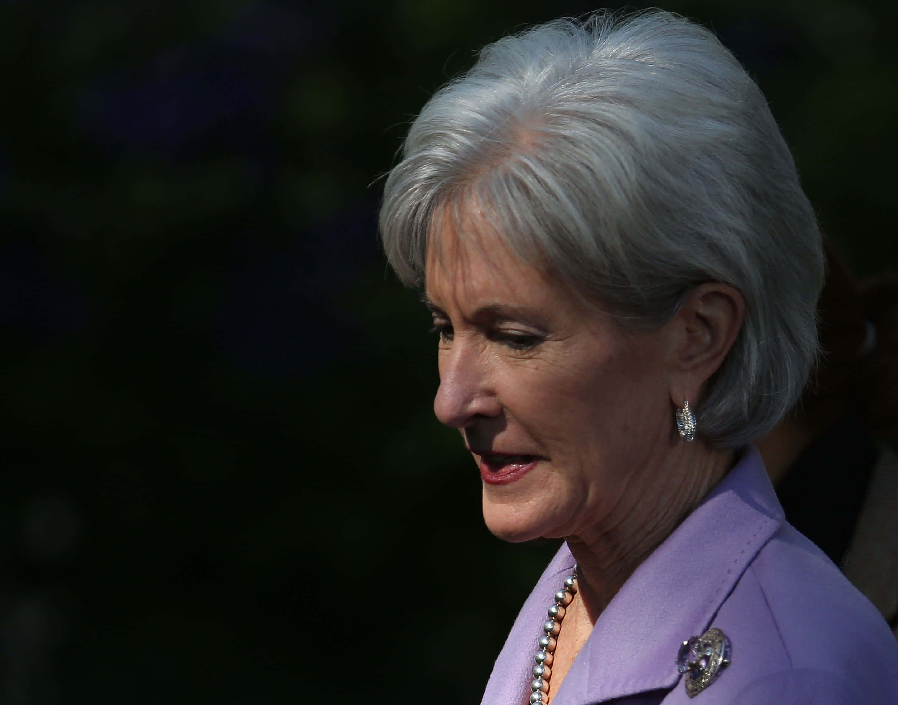 Kathleen Sebelius, silver hair, lavender blazer, 2K Desktop Wallpaper