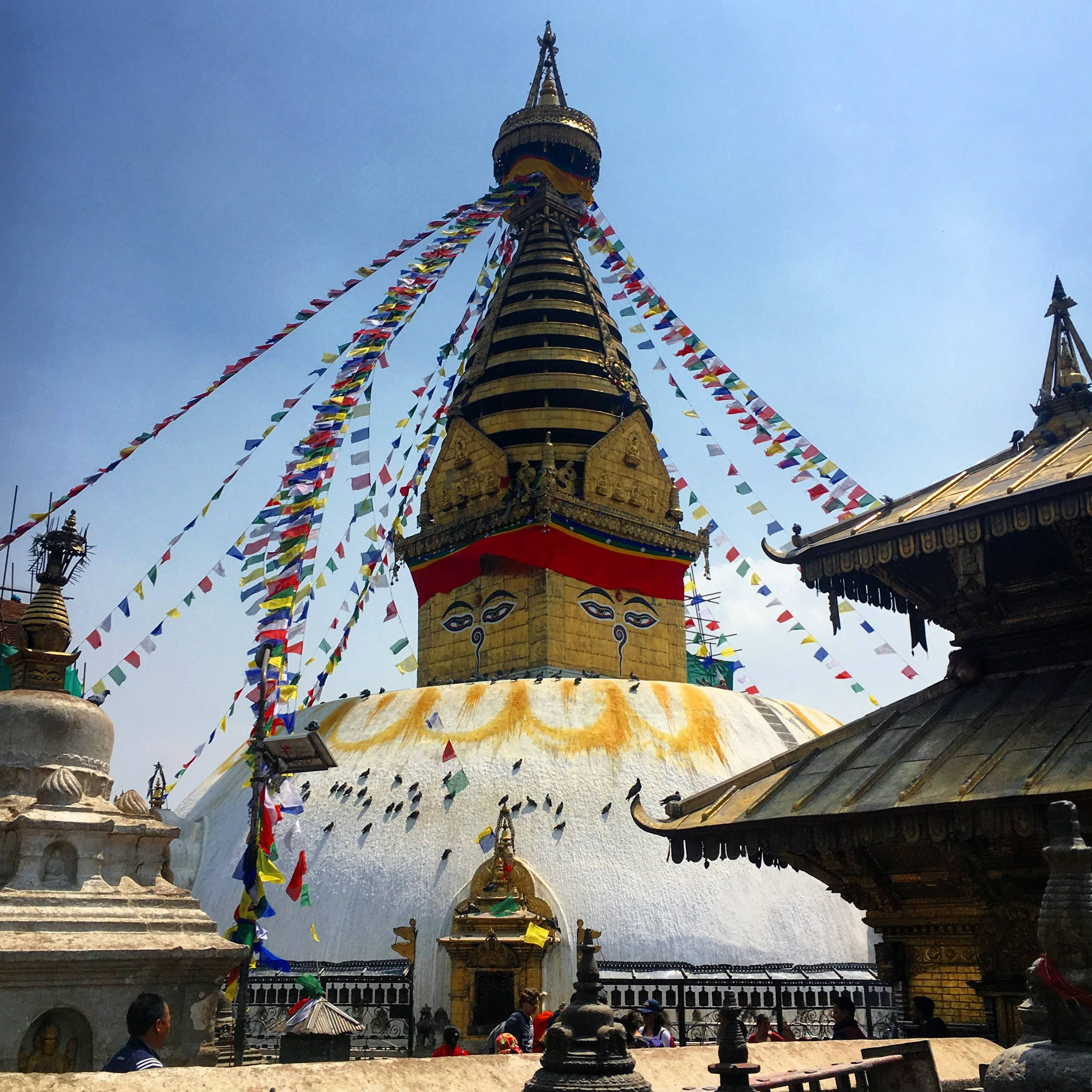 Kathmandu, golden stupa, eyes, 2K Desktop Wallpaper