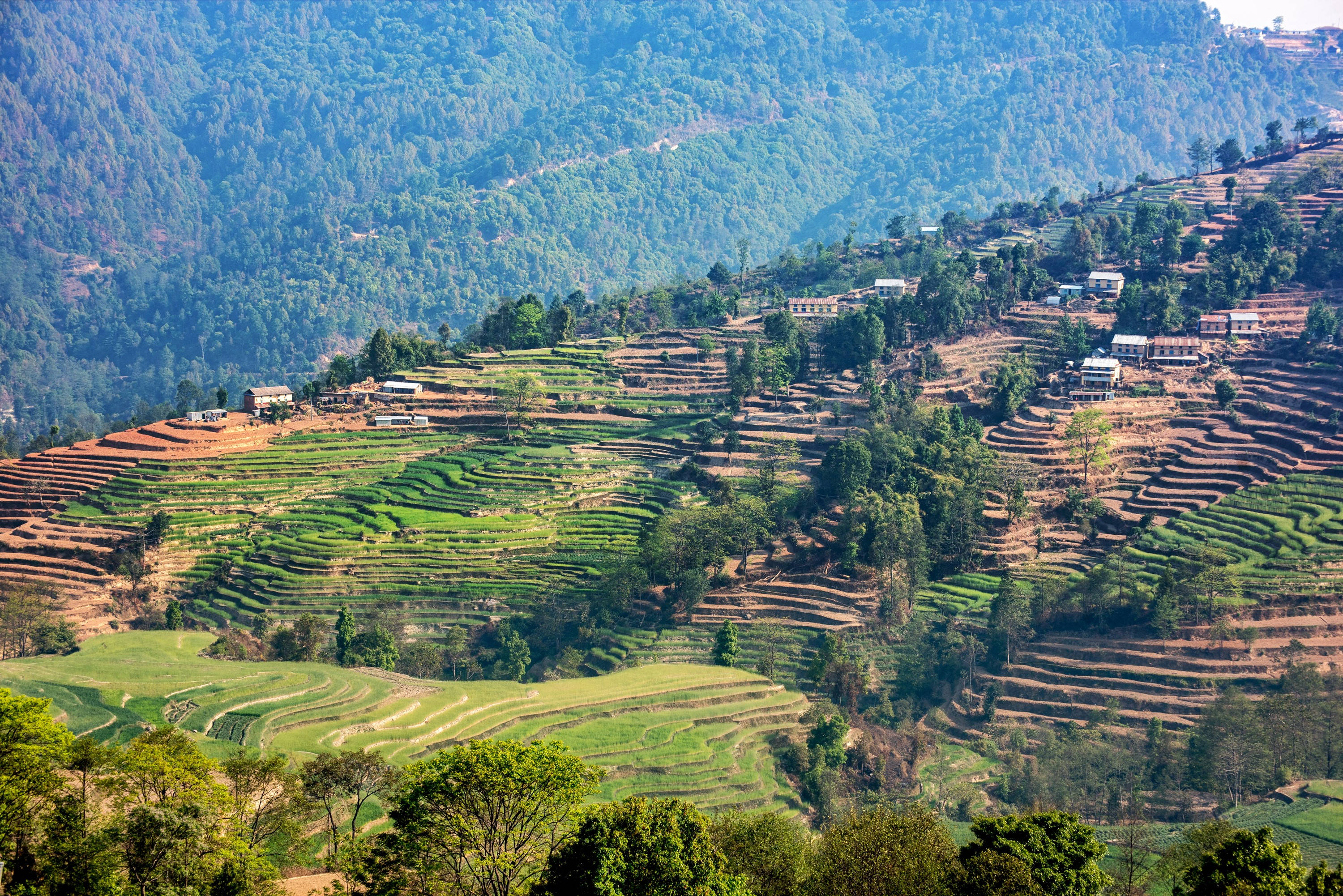Kathmandu, mountain terraces, terraced rice fields, 2K Desktop Wallpaper