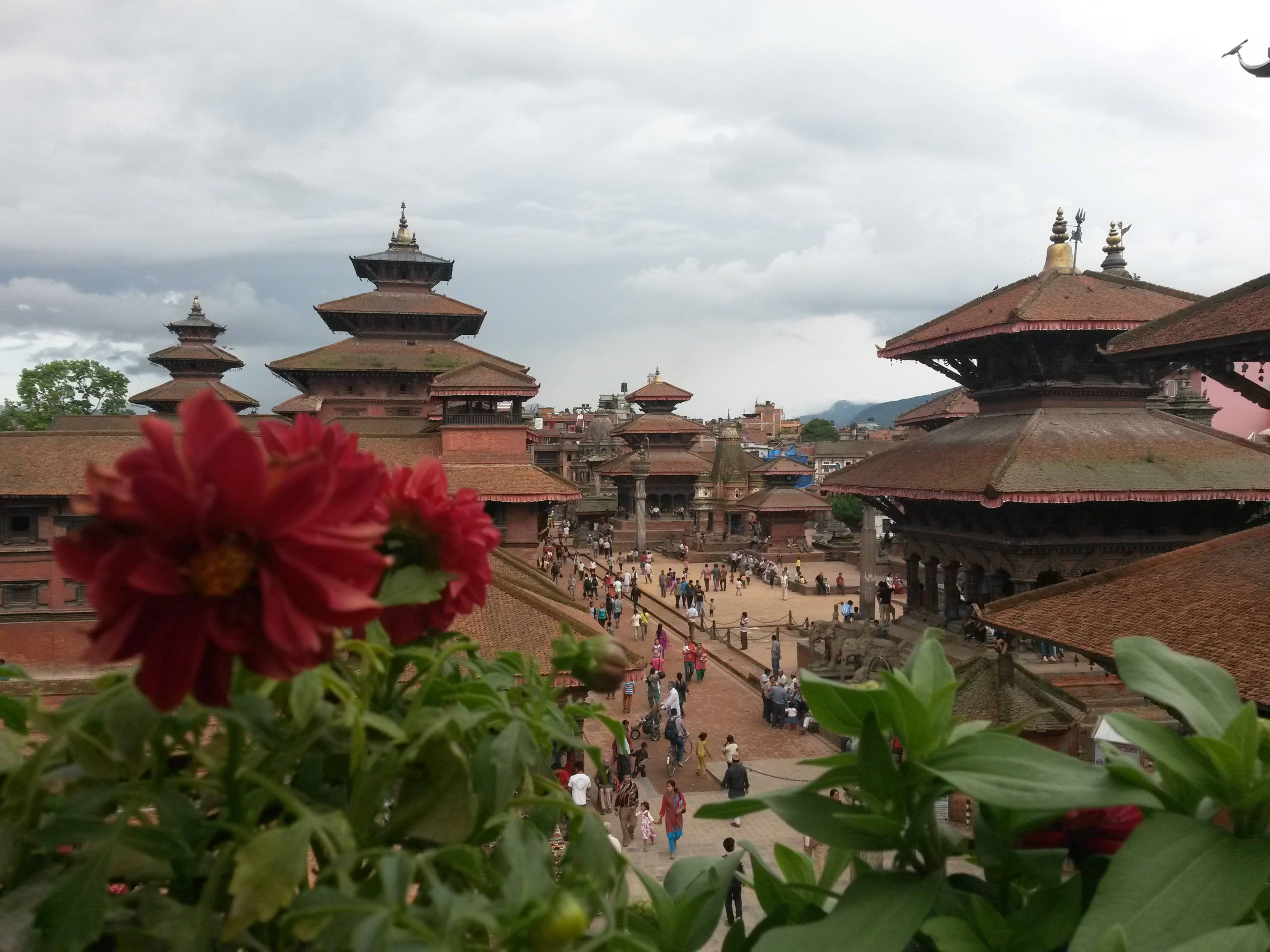 Kathmandu, red flowers, ancient Nepalese temple complex, 2K Desktop Wallpaper