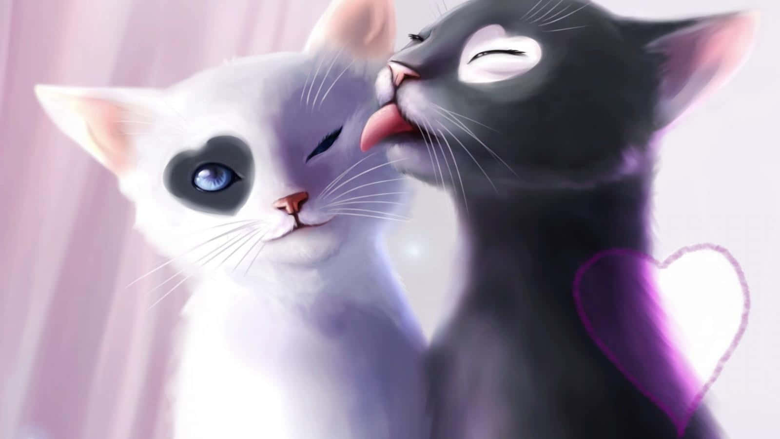 Kawaii Anime Cat, black cat, white cat, HD Desktop Wallpaper