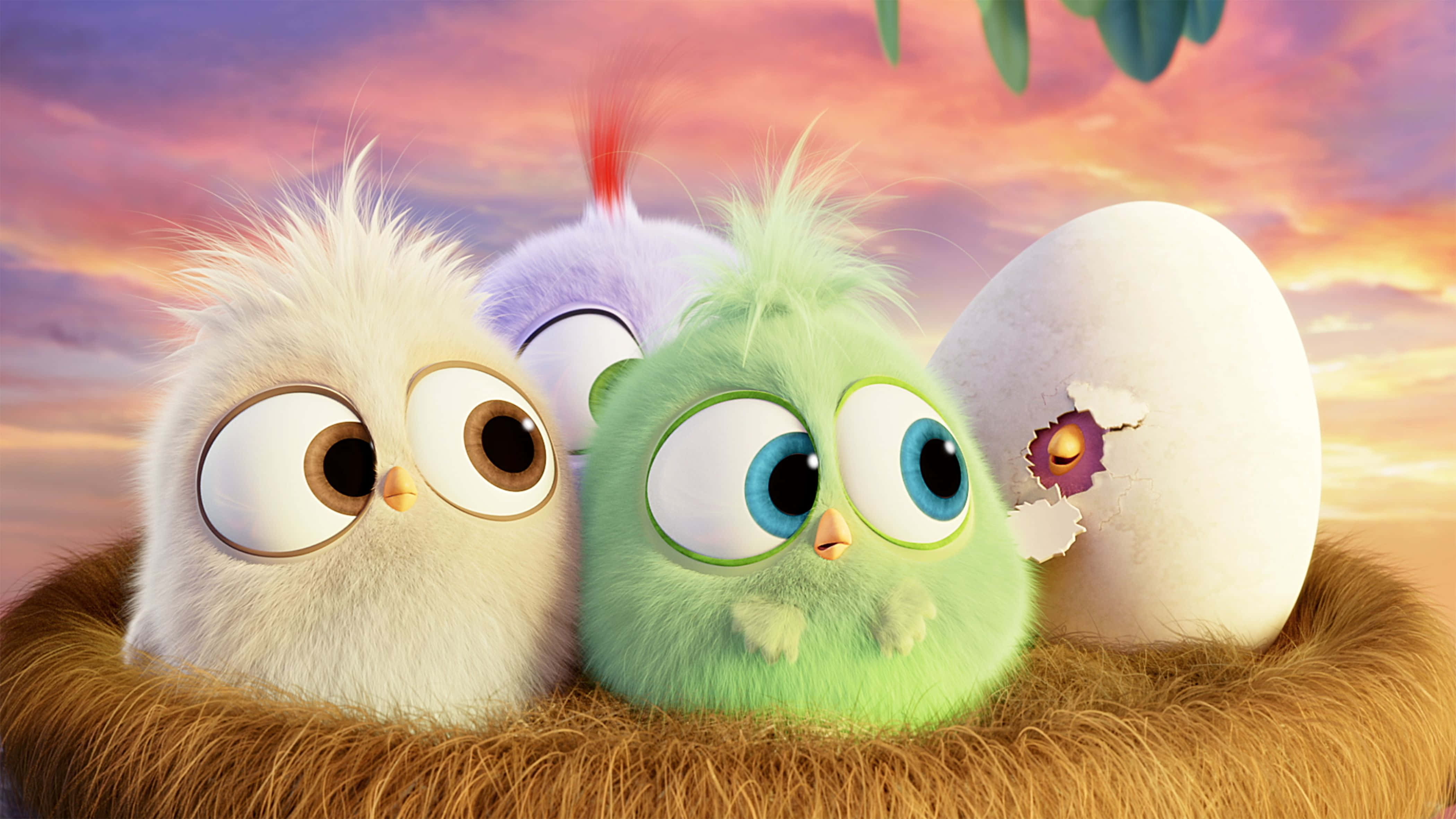 kawaii bird, fluffy animated chicks, big eyes, 4K Desktop Wallpaper