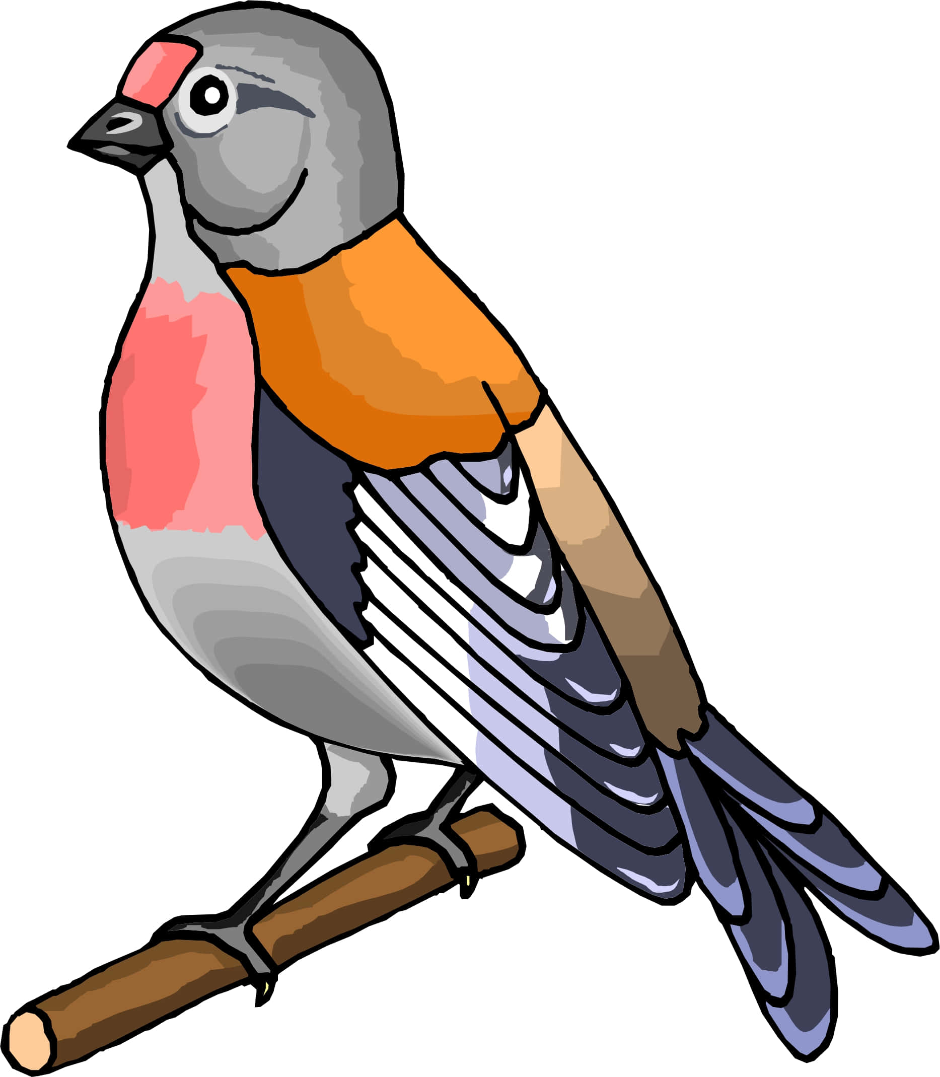 Kawaii Bird, gray head, pink breast, Full HD Phone Wallpaper