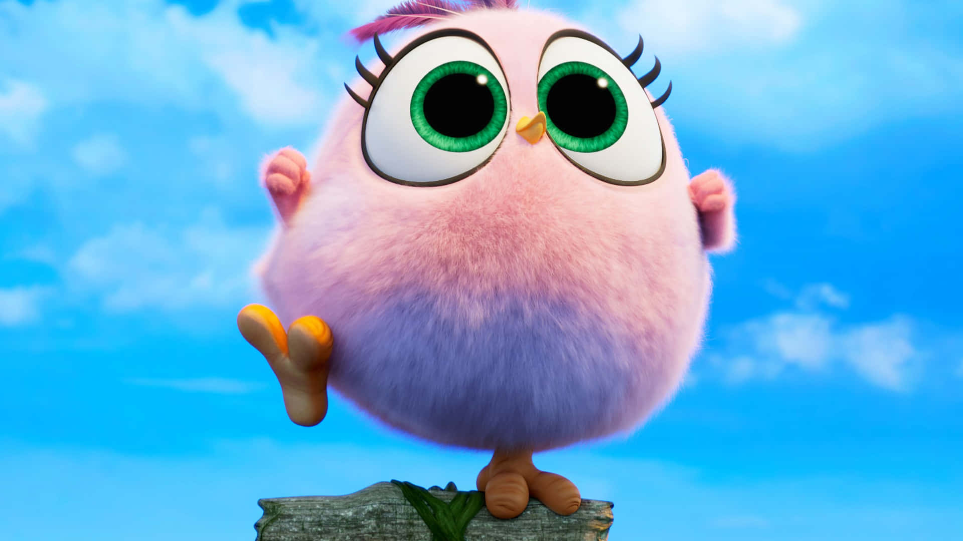 kawaii bird, fluffy pink cartoon bird, giant green eyes, Full HD Desktop Wallpaper
