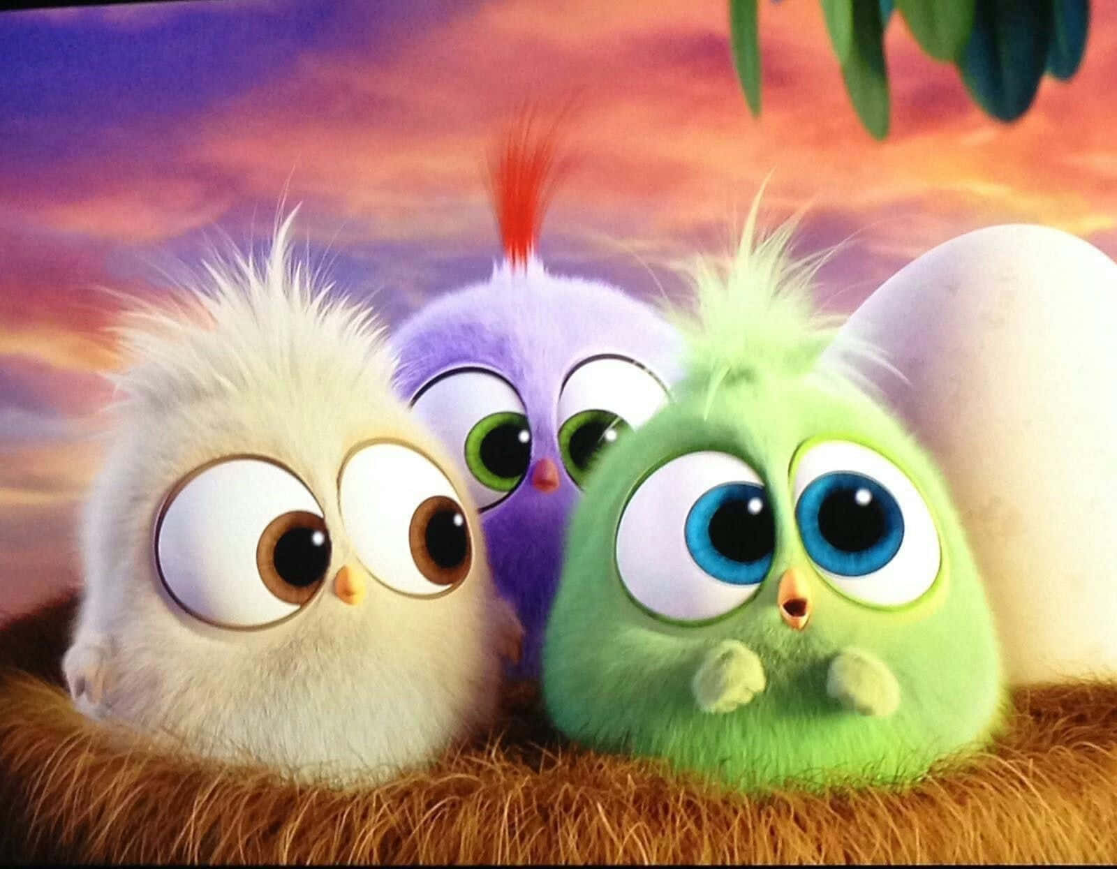 Kawaii Bird, three fluffy animated baby birds, oversized eyes, HD Desktop Wallpaper